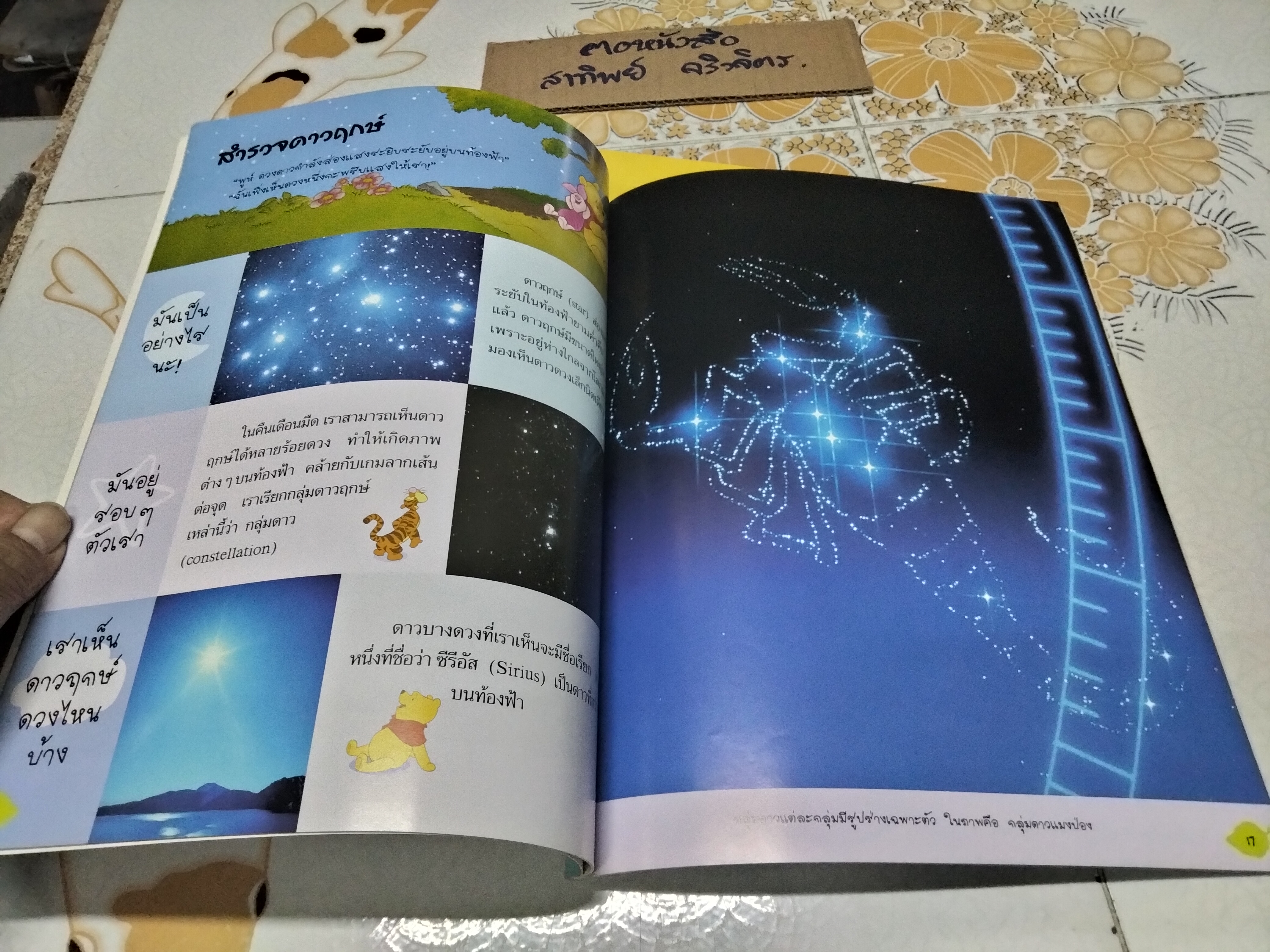 วินนี่เดอะพูห์เปิดโลกการเรียนรู้ (รวม 7 เล่ม) MY VERY FIRST ENCYCLOPEDIA WITH WINNIE THE POOH AND FRIENDS