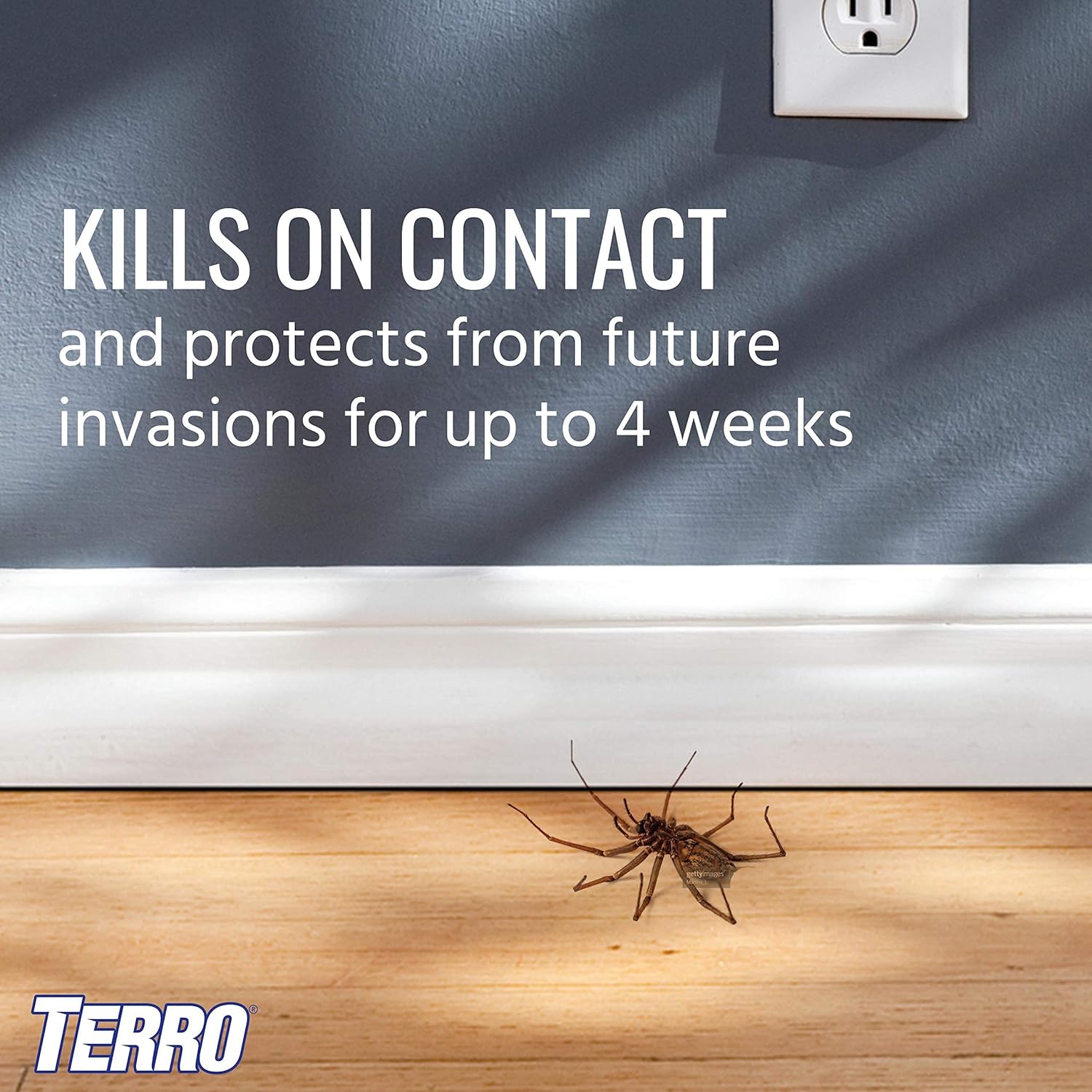 TERRO® T2302-6 Spider Killer Spray 453gสเปรย์กำจัดแมงมุม และแมลง
