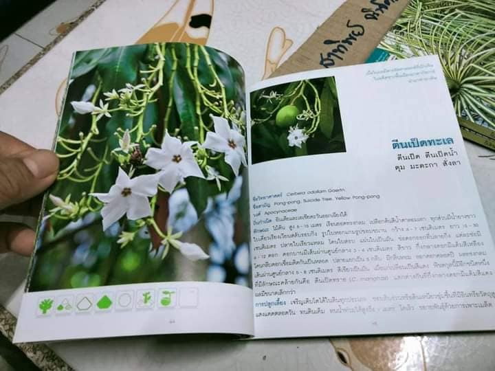 ไม้ทนน้ำ - คู่มือคนรักต้นไม้ชุดที่ 6 โดย อุไร จิรมงคลการ