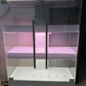 Indoor Farming Concept Design Cabinet Box Farm