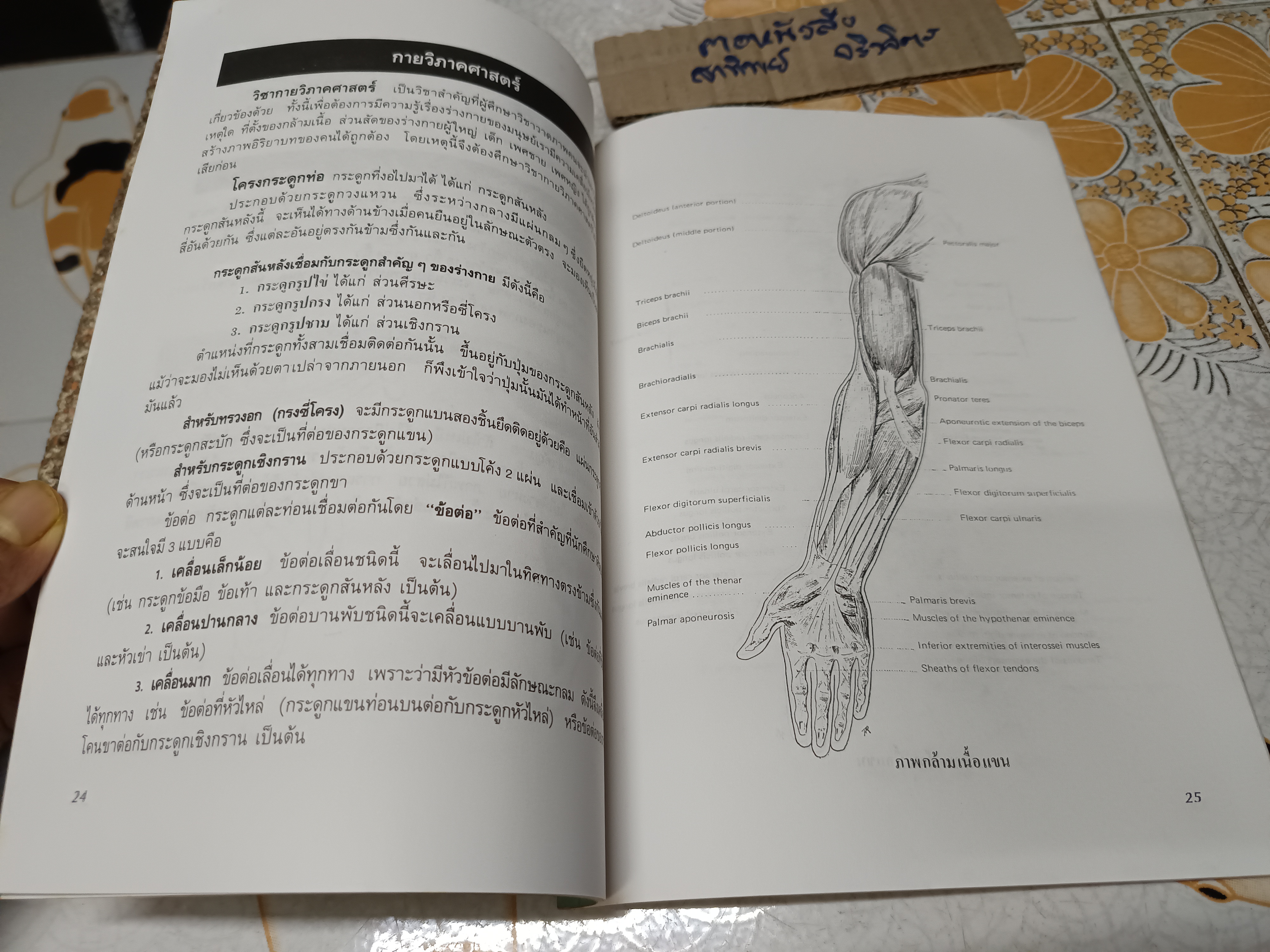 ตำราวาดภาพคน เรียนด้วยตนเอง โดย อ.พิทักษ์ สายัณห์ อดีตอาจารย์โรงเรียนเพราะช่างพระนคร