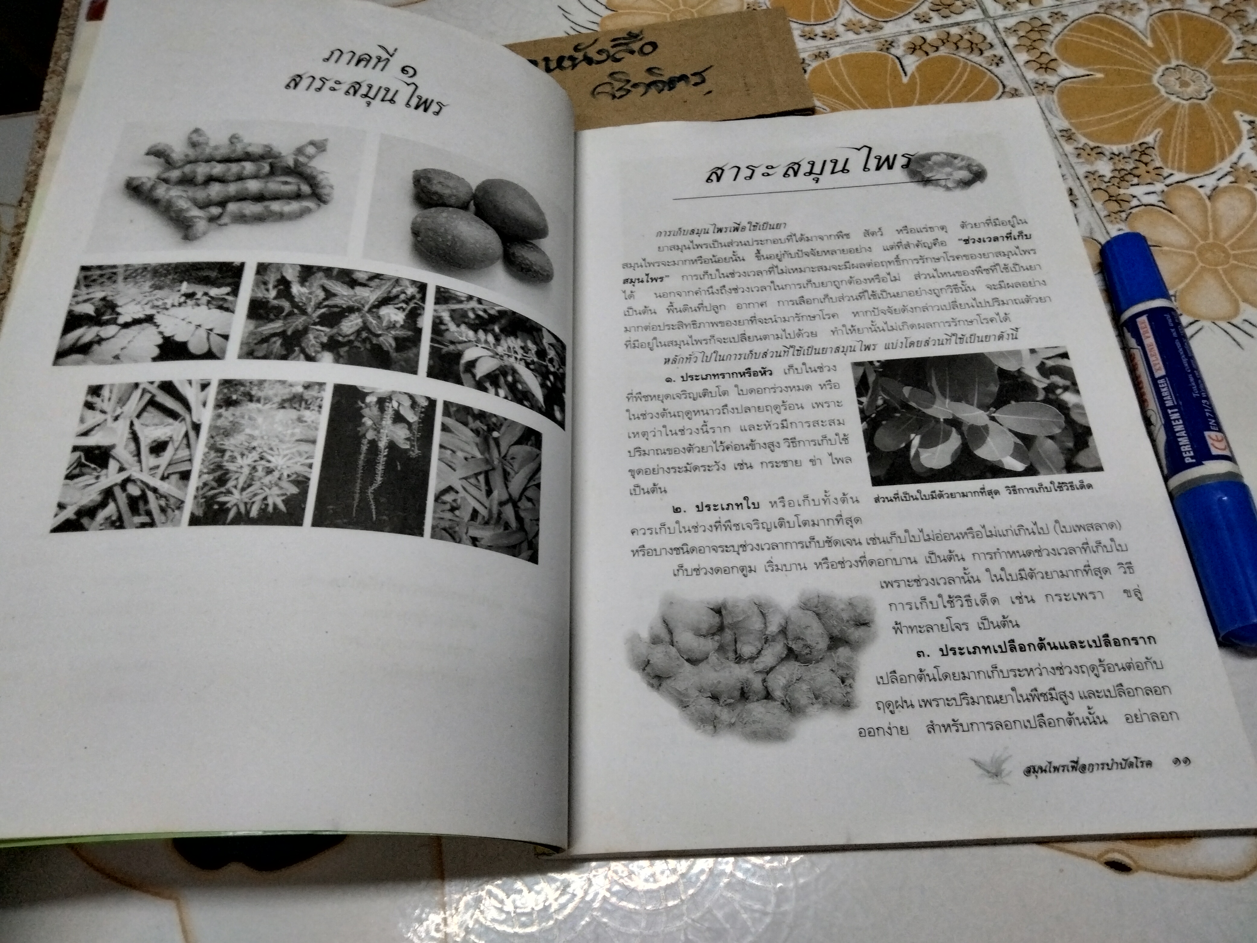 สมุนไพรเพื่อการบำบัดโรค - เรียบเรียงโดย แก้ว กาญจนา **สินค้าหมด*"