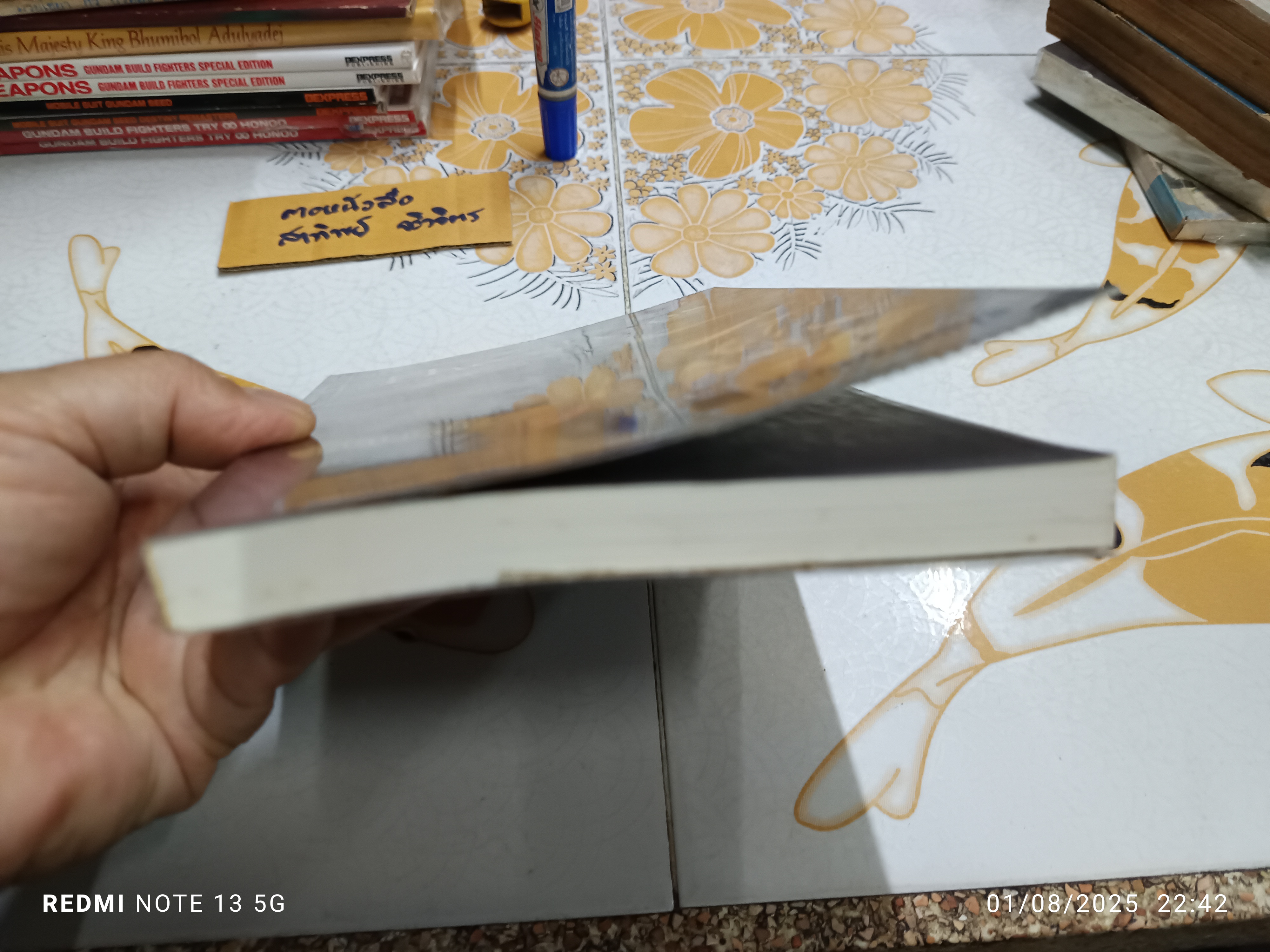 The shoes รองเท้าอาถรรพ์ โดย ภาคินัย พิมพ์ครั้งที่ 8/2558