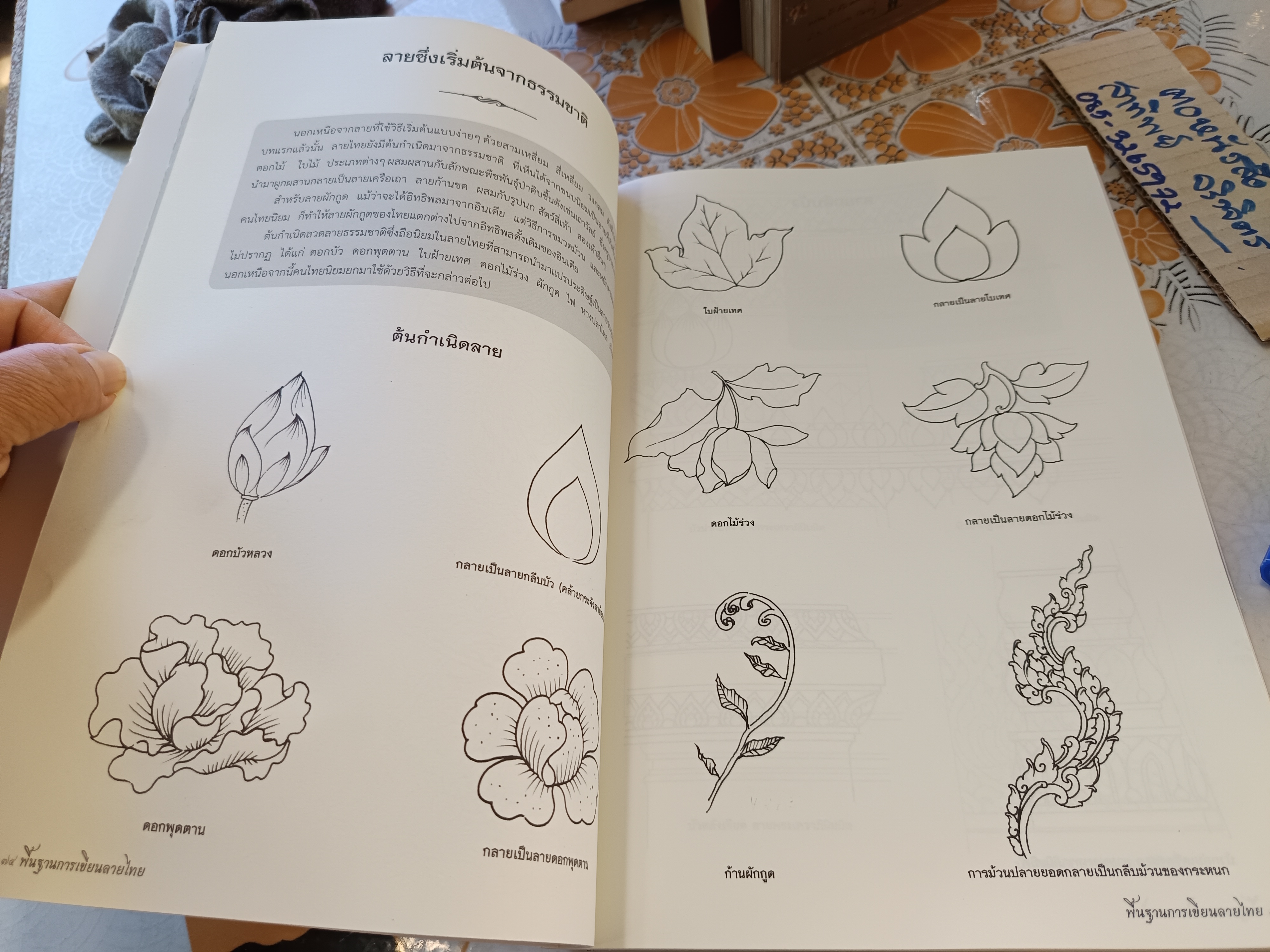 พื้นฐานการเขียนลายไทย โดย วิภาวี บริบูรณ์ / สำนักพิมพ์ไทยควอลิตี้บุ๊คส์ พิมพ์ครั้งที่ 3/2564