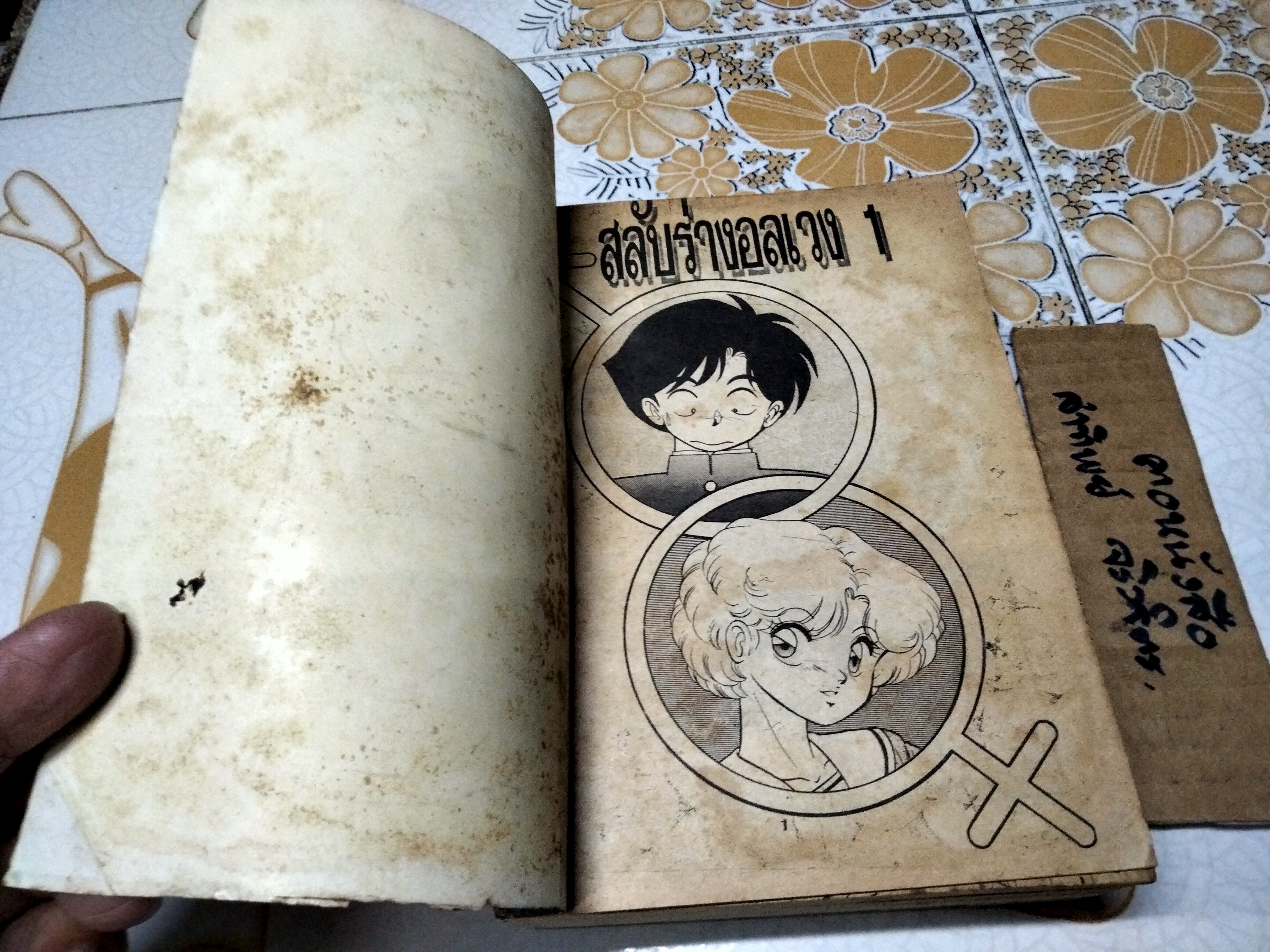 สลับร่างอลเวง (3 เล่มจบ) สนพ. หมึกจีน **สินค้าหมด**