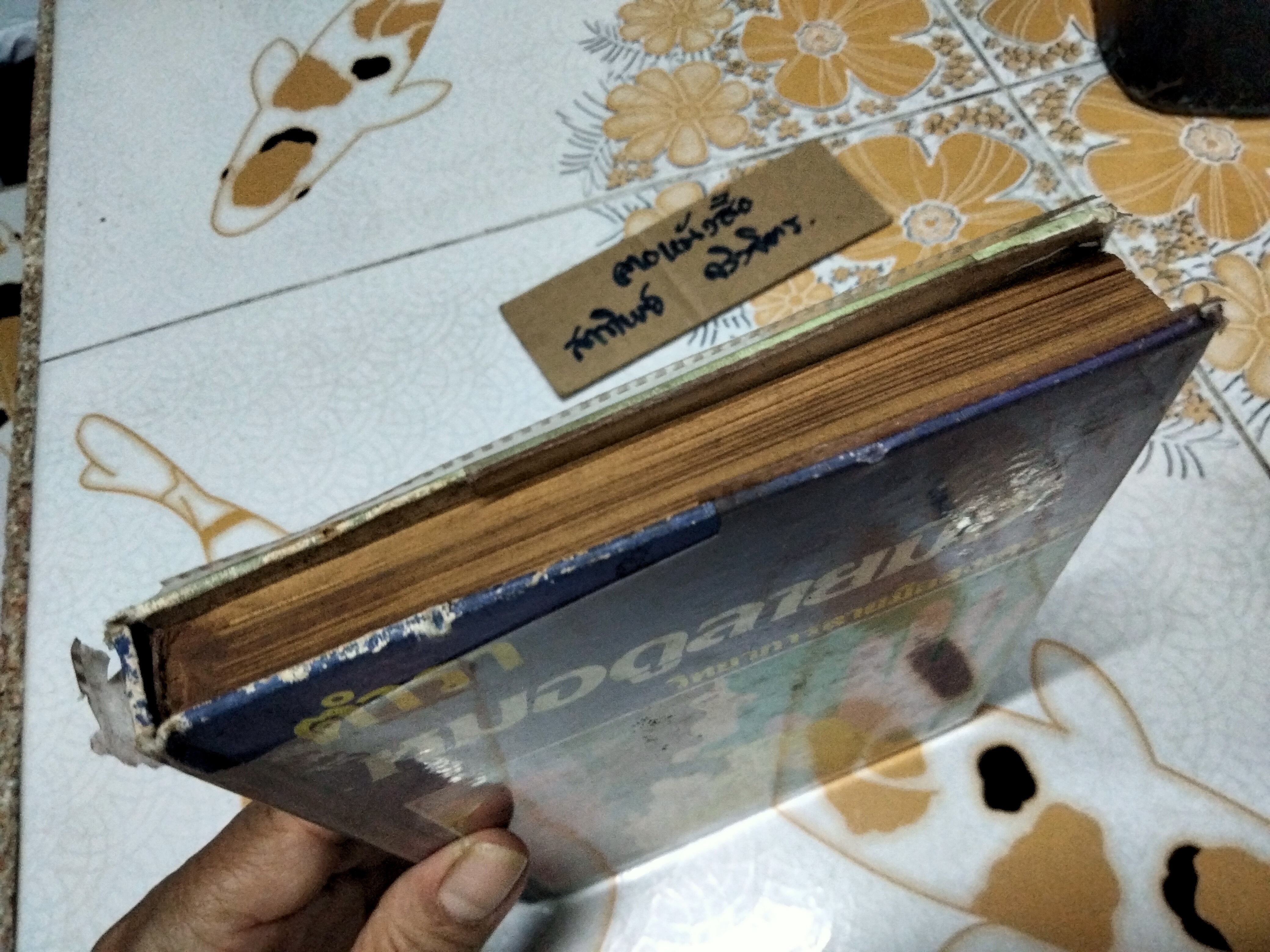 ตำราหมอดูลายมือ วิทยาการลายมือสงเคราะห์ โดย พันตรี หลวงเสนานิติการ (ยง บุนนาค)