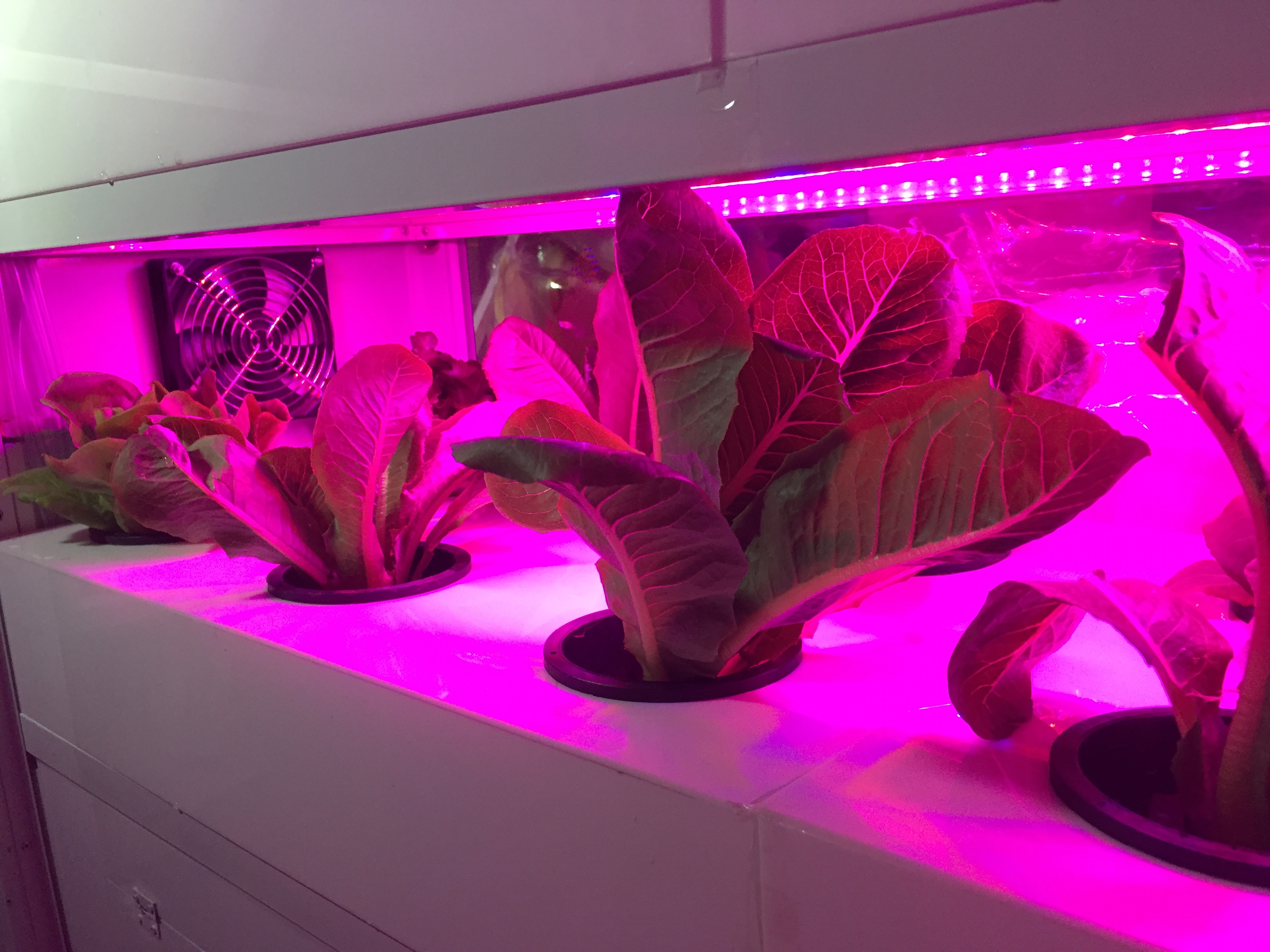 ตู้ปลูกผักอัจฉริยะ substate grow