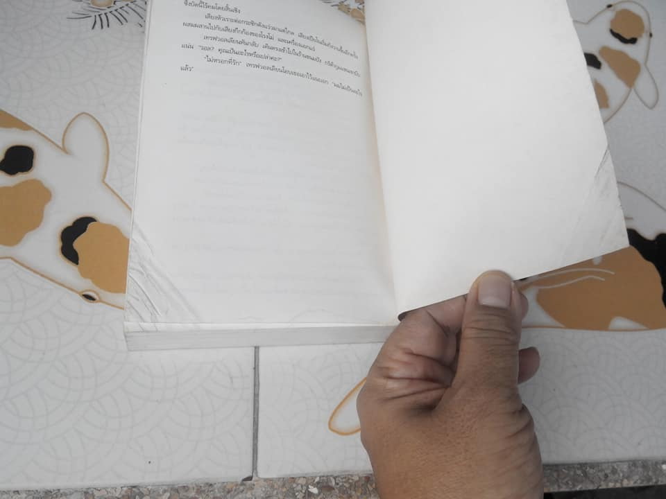 เหมืองมหาภัย (Comstock Lode)โดย Louis L'amour - นพดล เวชสวัสดิ์ แปล **สินค้าหมด**