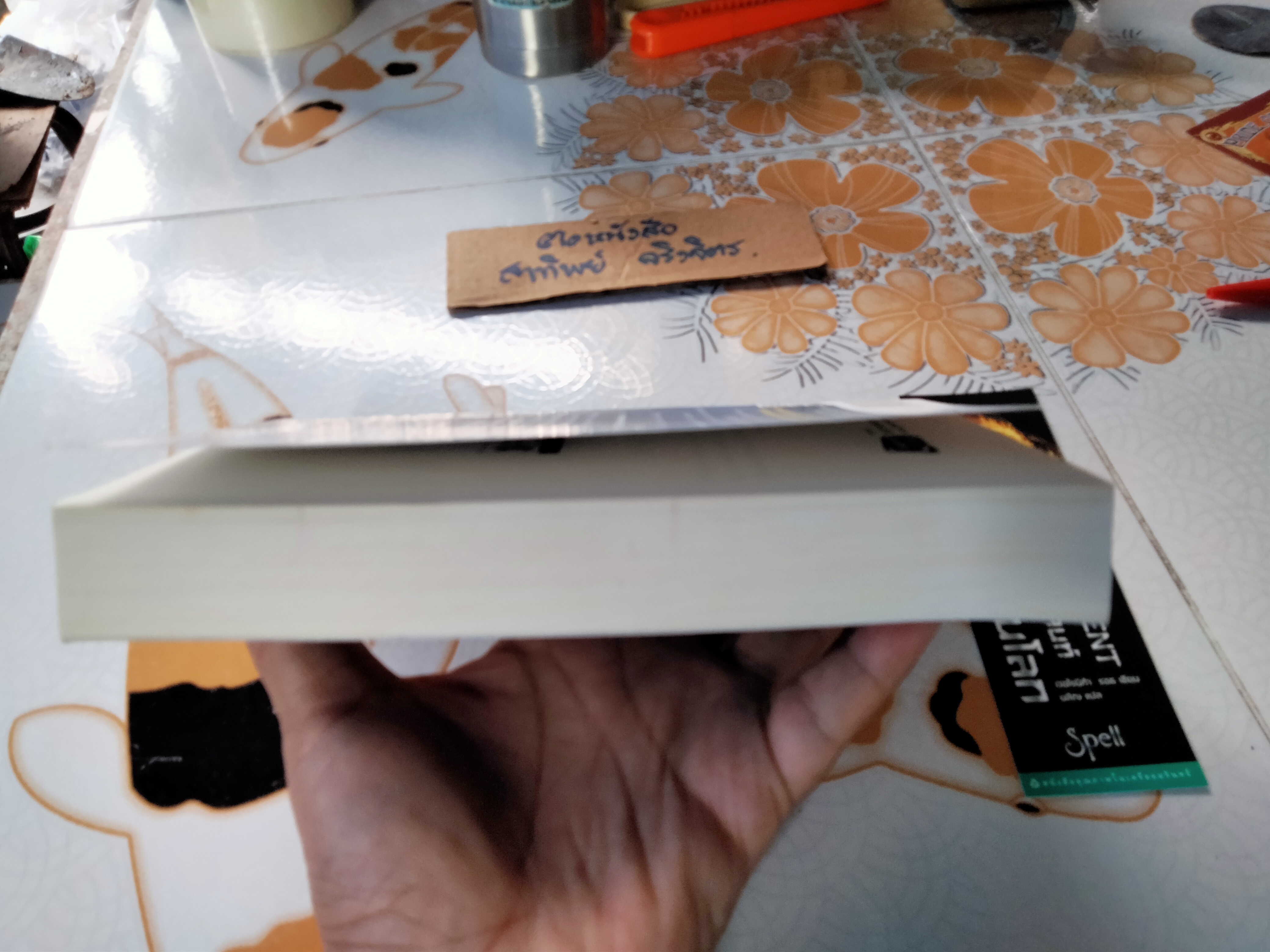 ไดเวอร์เจนท์ มายาเร้นโลก DIVERGENT