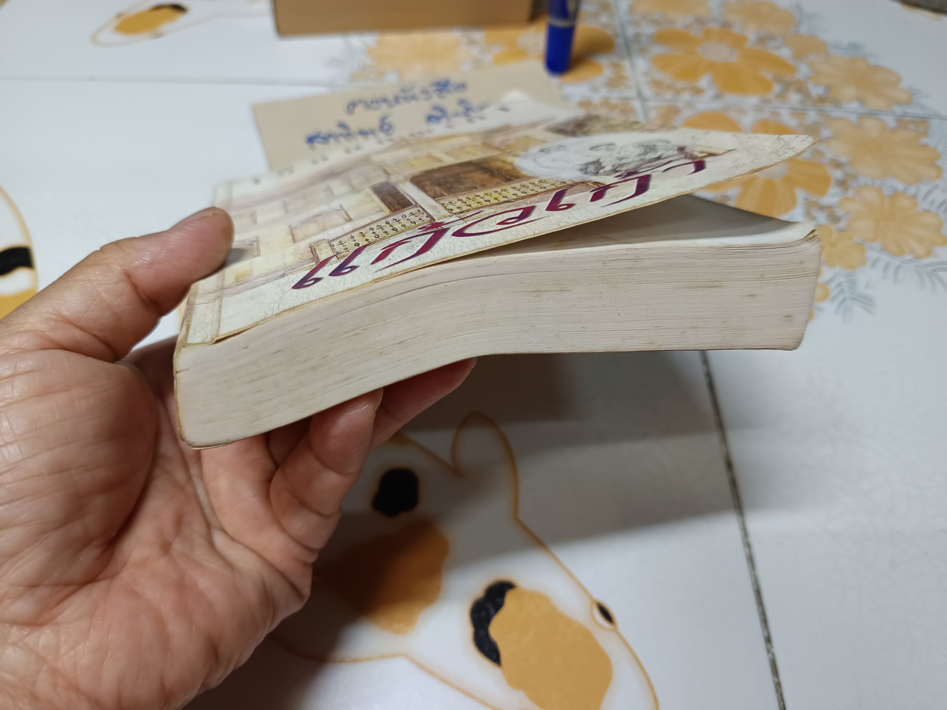 เรือนนพเก้า (เล่มเดียวจบ) โดย แก้วเก้า พิมพ์ครั้งแรกพ.ศ 2542 สำนักพิมพ์เพื่อนดี **สินค้าหมด**