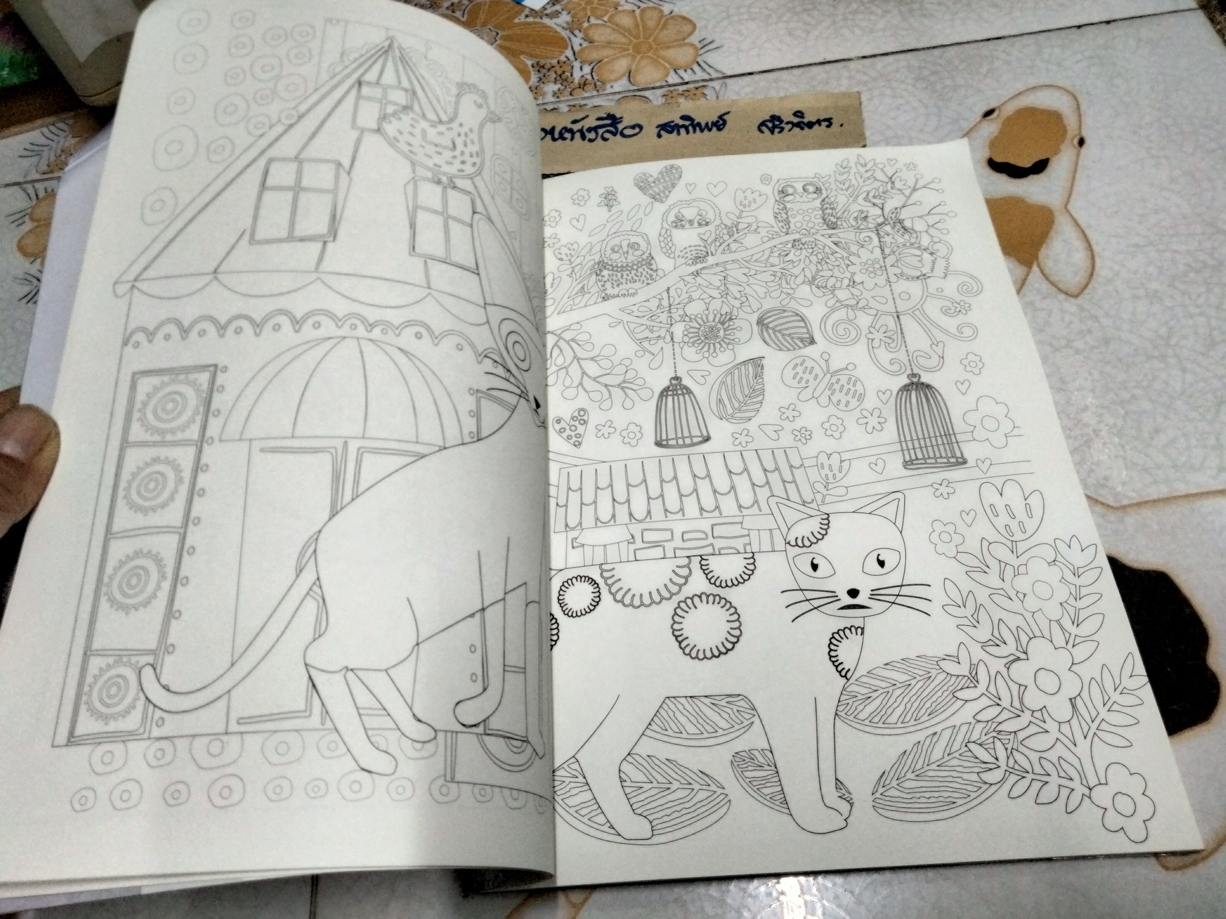 แมวไทย Siamese Cat สุดสวาทขาดใจของบ่าว / หนังสือระบายสีสำหรับผู้ใหญ่ ศิลปะเพื่อการผ่อนคลาย