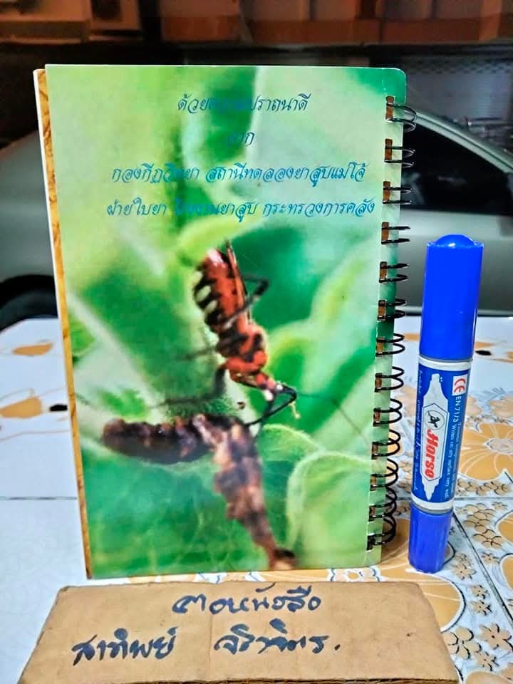 คู่มือ แมลงยาสูบ Tobacco Insect โดย กองกีฏวิทยา สถานีทดลองยาสูบแม่โจ้