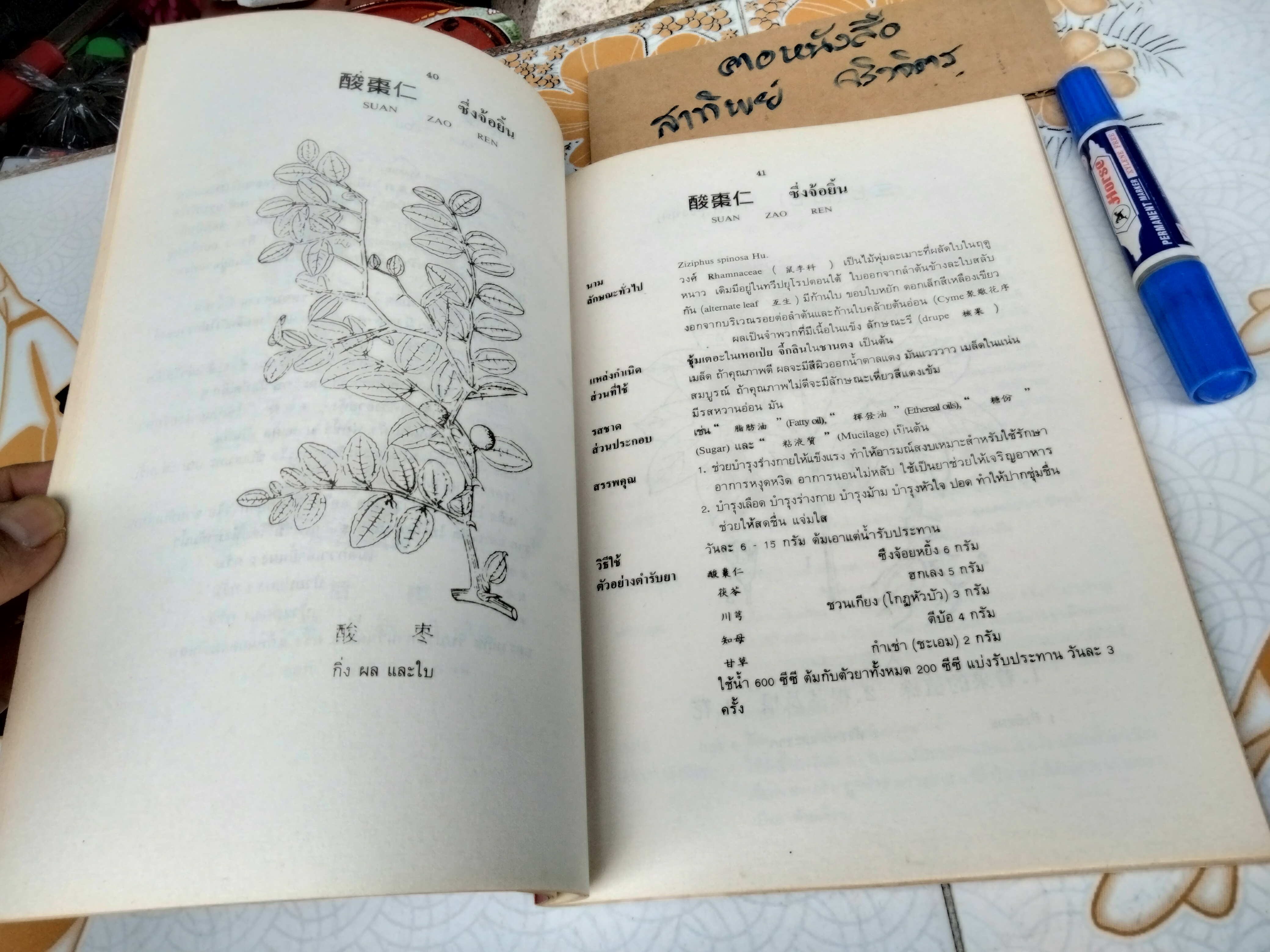 สมุนไพรจีน - รวบรวมเรียบเรียงและจัดพิมพ์ โดย นายเจนกิจ เวชพงศา **สินค้าหมด**