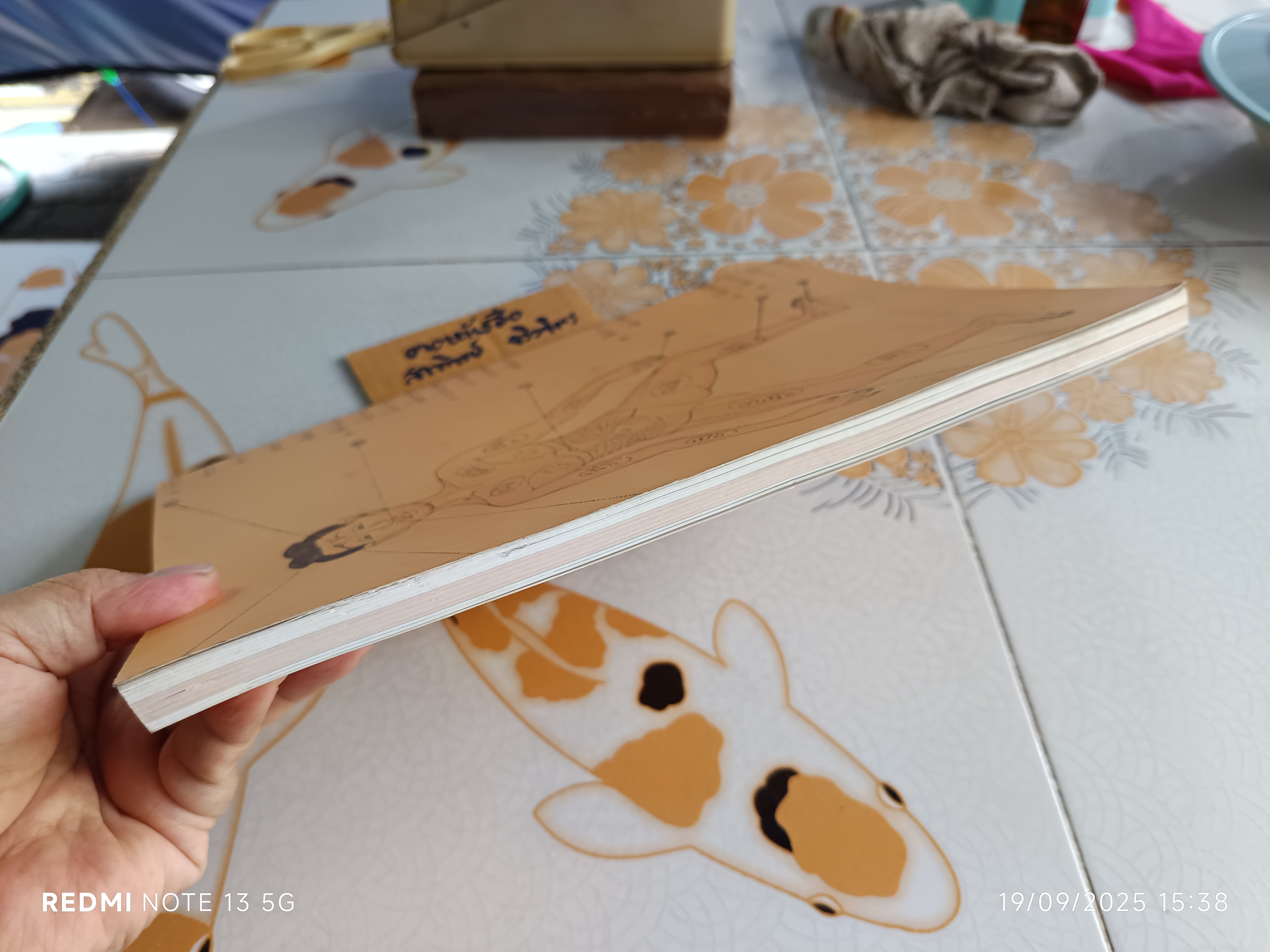 แผนตำราหมอนวดและฤๅษีดัดตน โดย พระยาพิศณุประสาตร์เวช (คง ถาวรเวช)