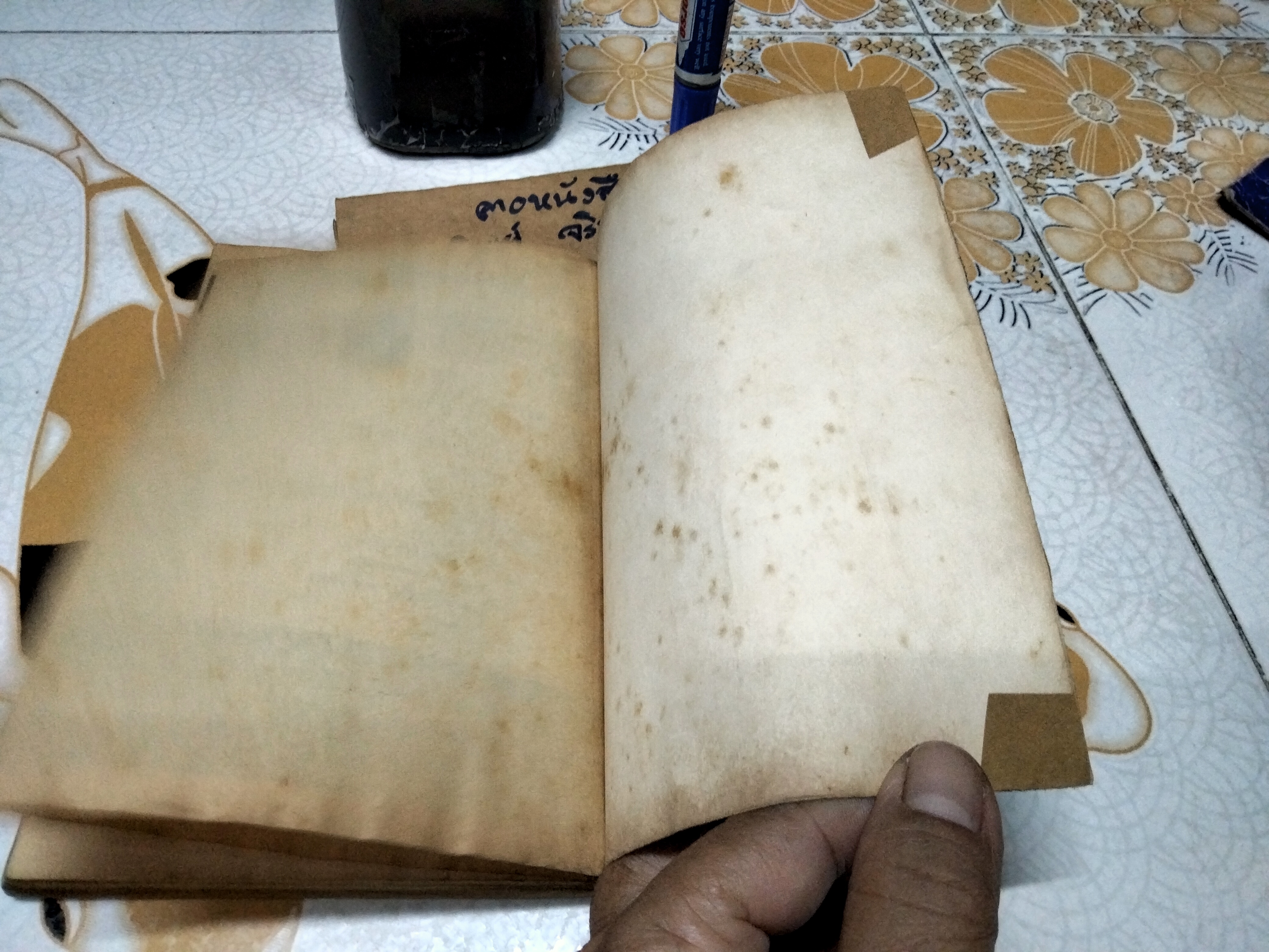 โคแนน ยอดคนเถื่อน Thief Warrior Barbarian King ฤดีดวง ถอดความ จาก Conan the Barbarian **สินค้าหมด**