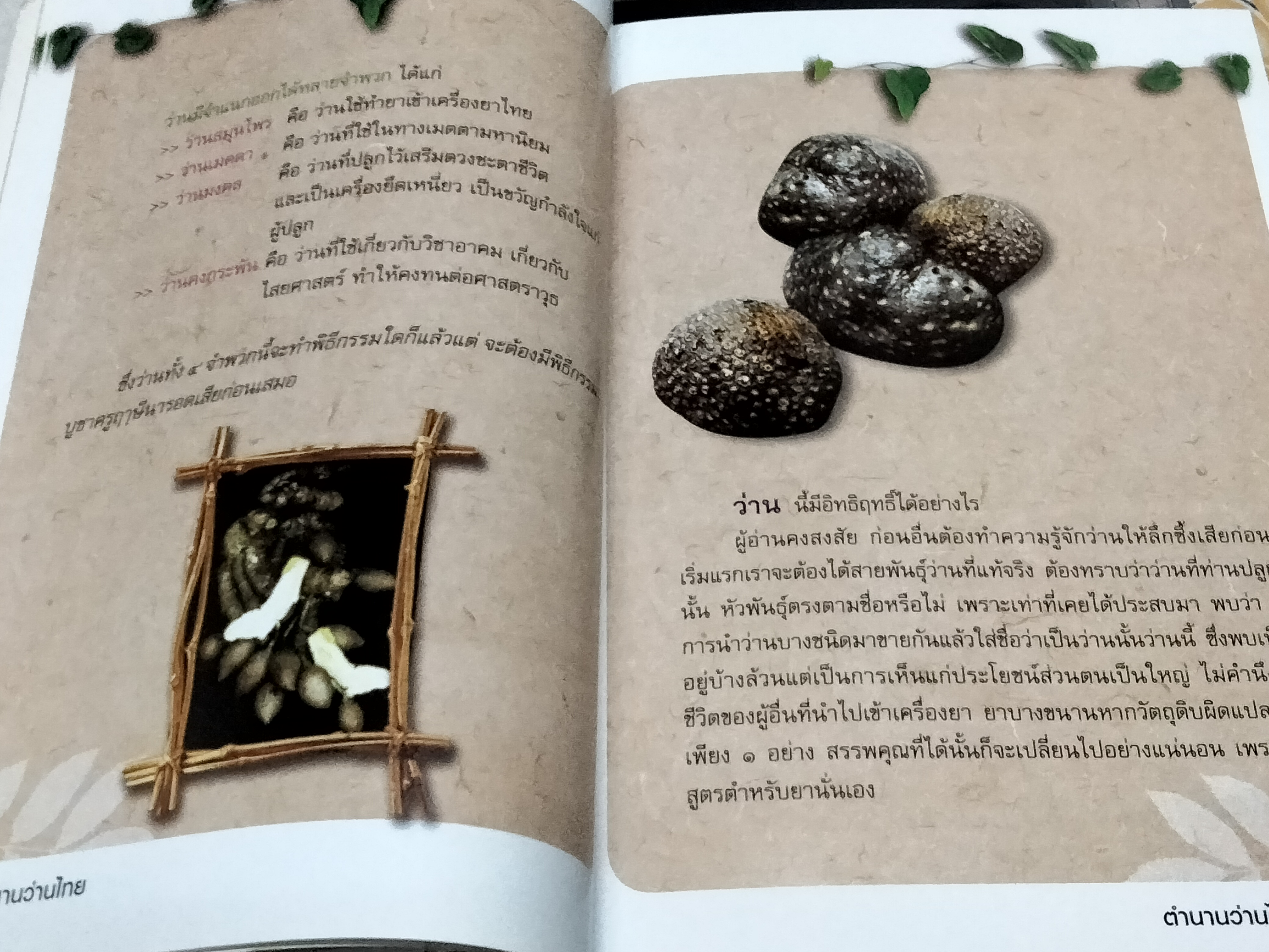 หนังสือ ตำนานว่านไทย โดย ชมรมว่านมหาเศรษฐี