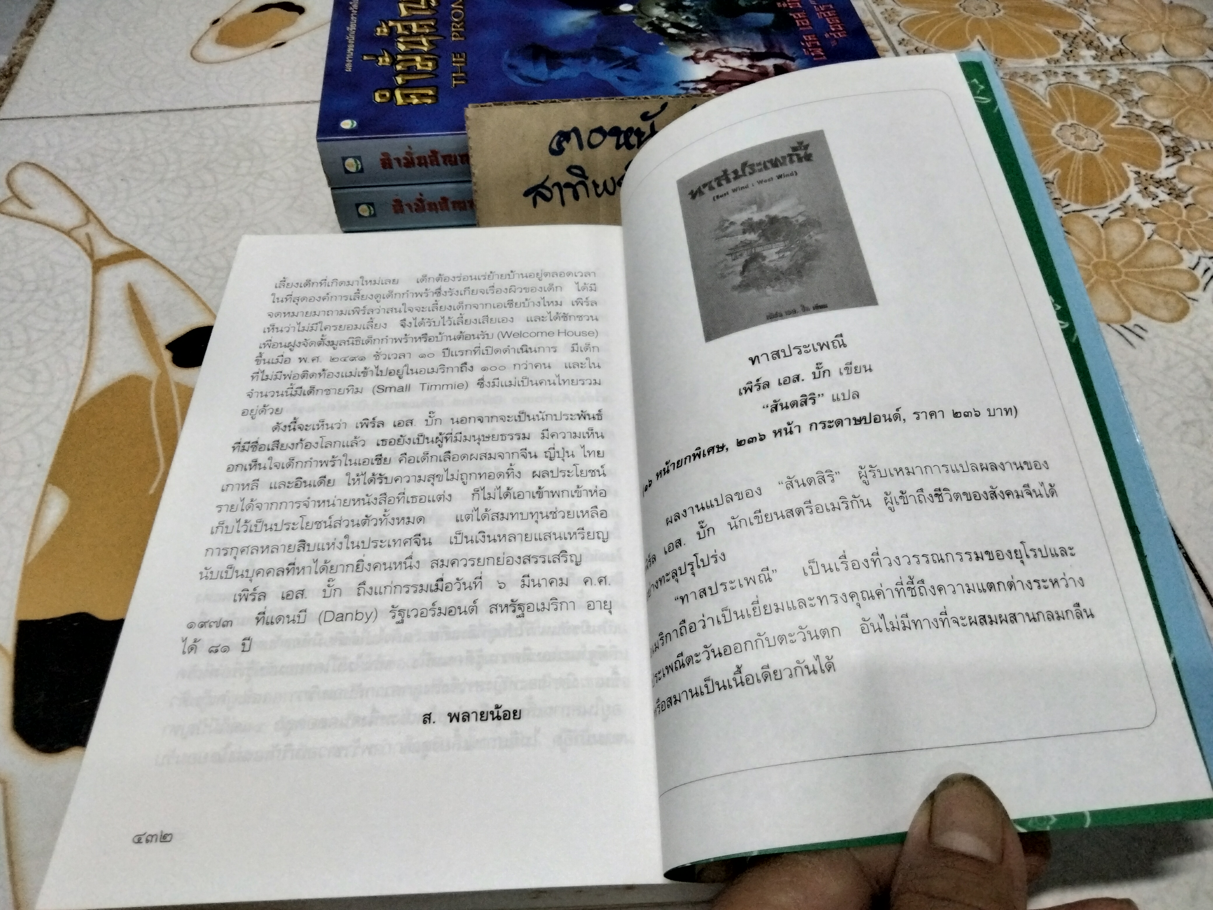 คำมั่นสัญญา (THE PROMISE) ผลงานเขียนอง "เพิร์ล เอส บั๊ก" (นักเขียนรางวัลโนเบล) : สันตสิริ แปล