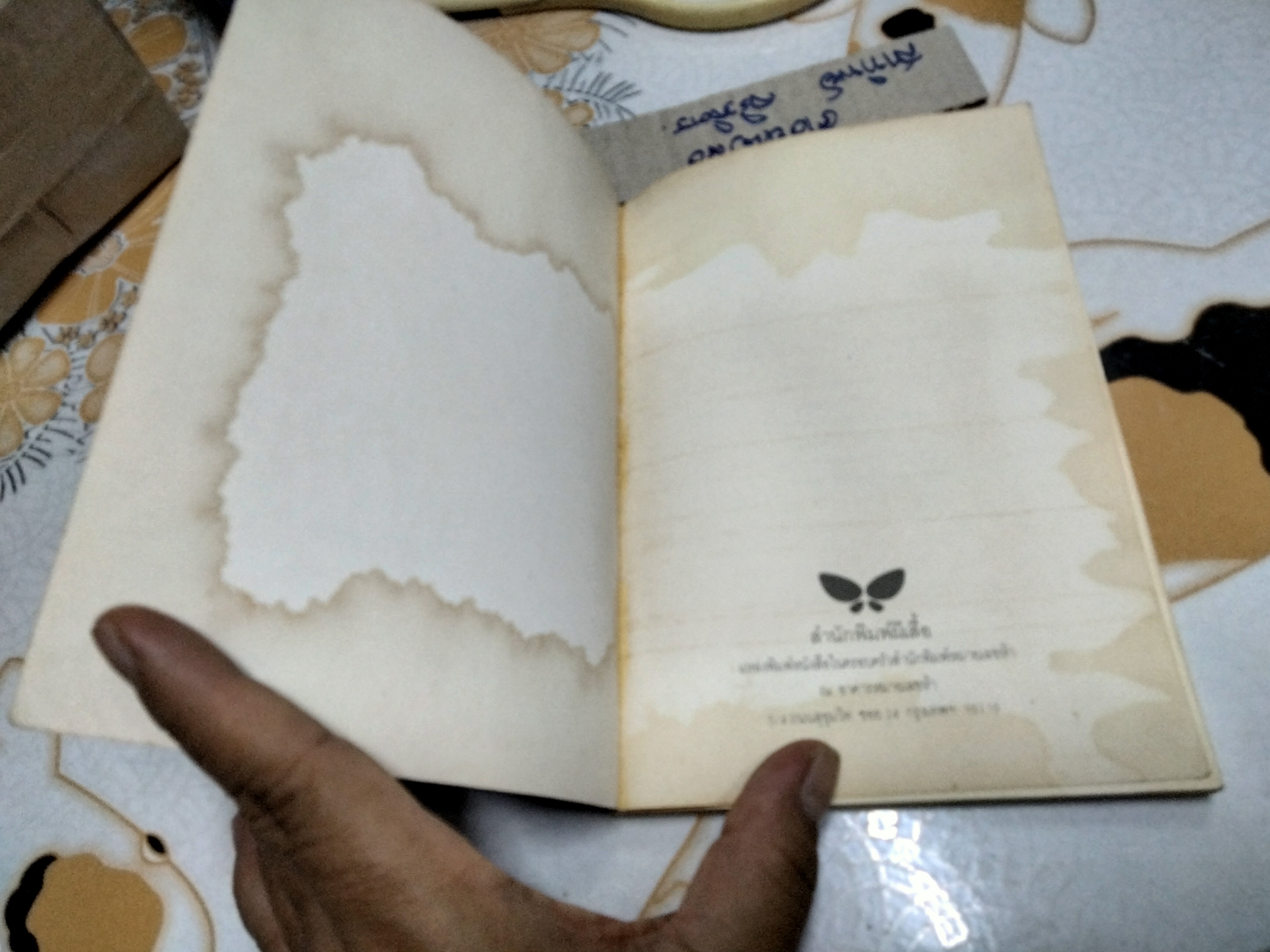 ลมเอยลมพัด Where the Wind Blows ของ เฮเลน เคร้สเวลล์ พิมพ์ครั้งแรก พ.ศ 2538 (มีคราบน้ำที่แผ่นแรก) **สินค้าหมด**