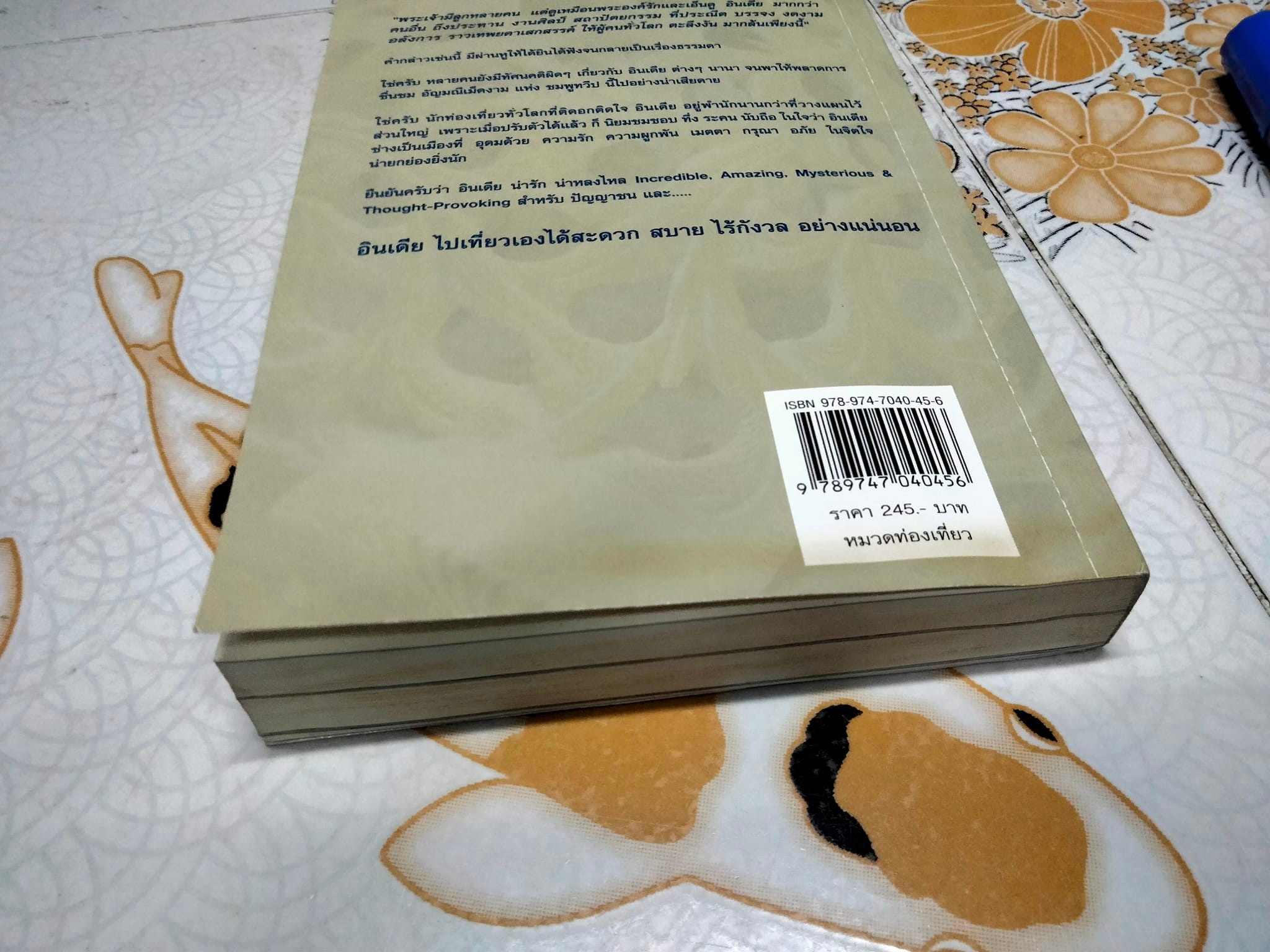 อินเดีย - เที่ยวเองได้ง่ายๆ สบายกระเป๋าสตางค์ สไตล์พี่วุฒิ & พี่เคท **สินค้าหมด**