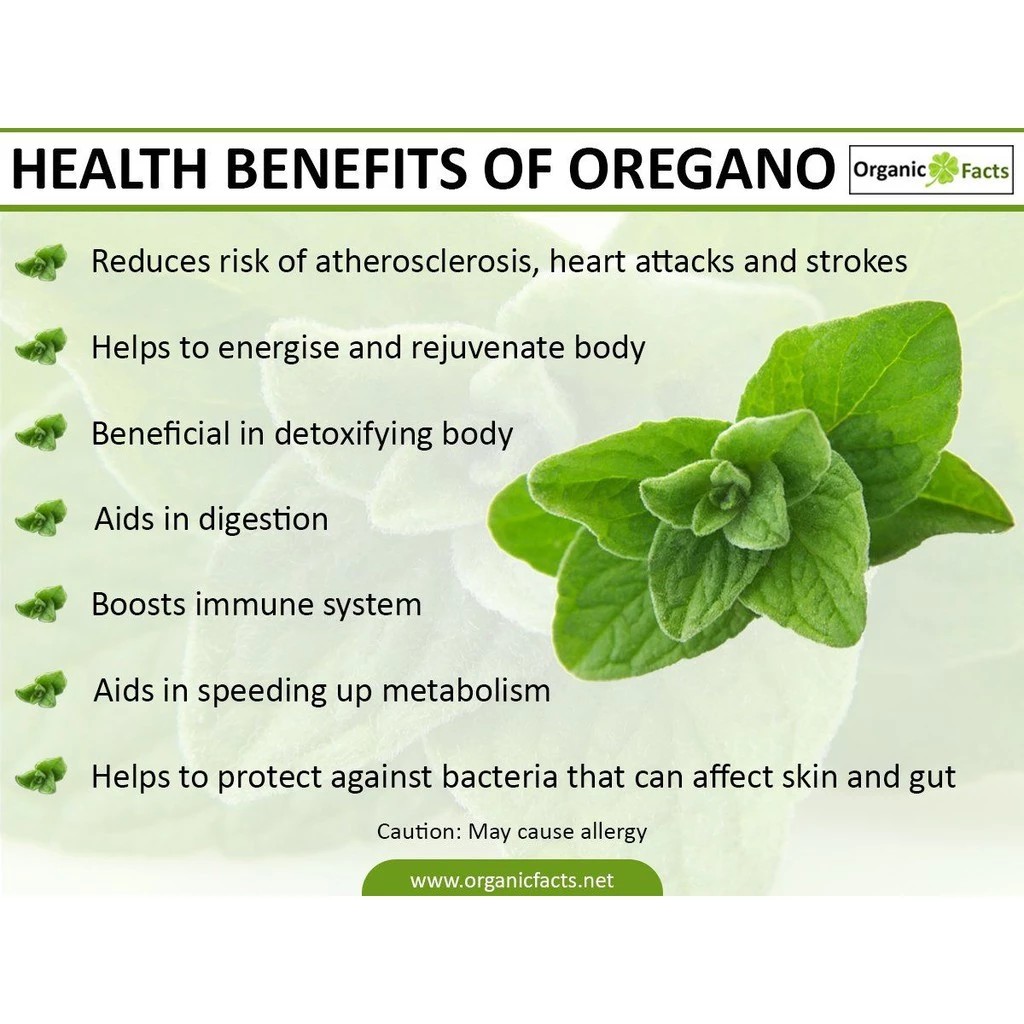 Now Foods® Oil of Oregano, Essential Oils 30ml น้ำมันออริกาโน 100% Pure น้ำมันออริกาโนสกัด ช่วยระบบหายใจ ลดอักเสบ