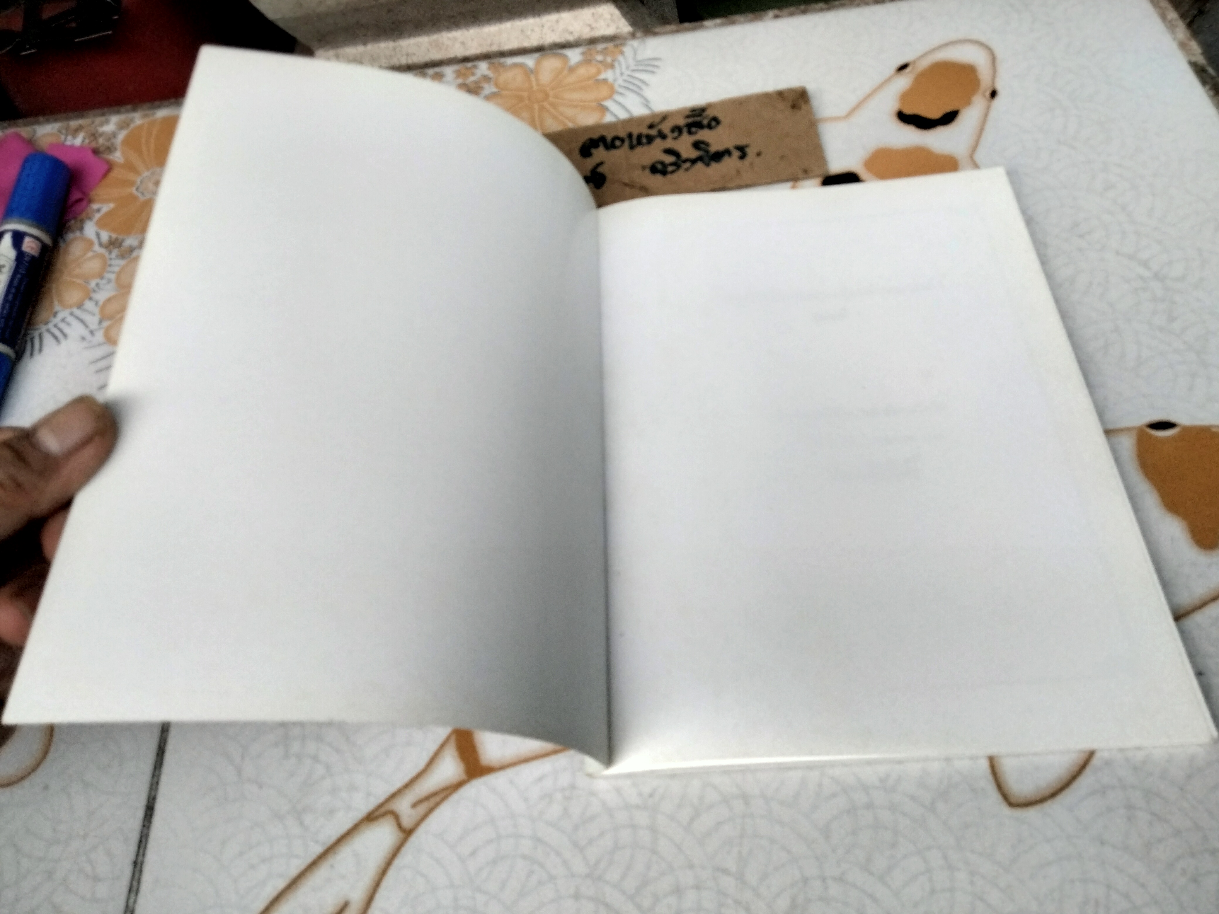 คัมภีร์น้ำแห่งฮวงจุ้ยเต๋าหมวกดำ เล่มที่ 1 อ.ณรงค์ อัศกุลโกวิท พิมพ์ครั้งแรก พ.ศ.2545 **สินค้าหมด**