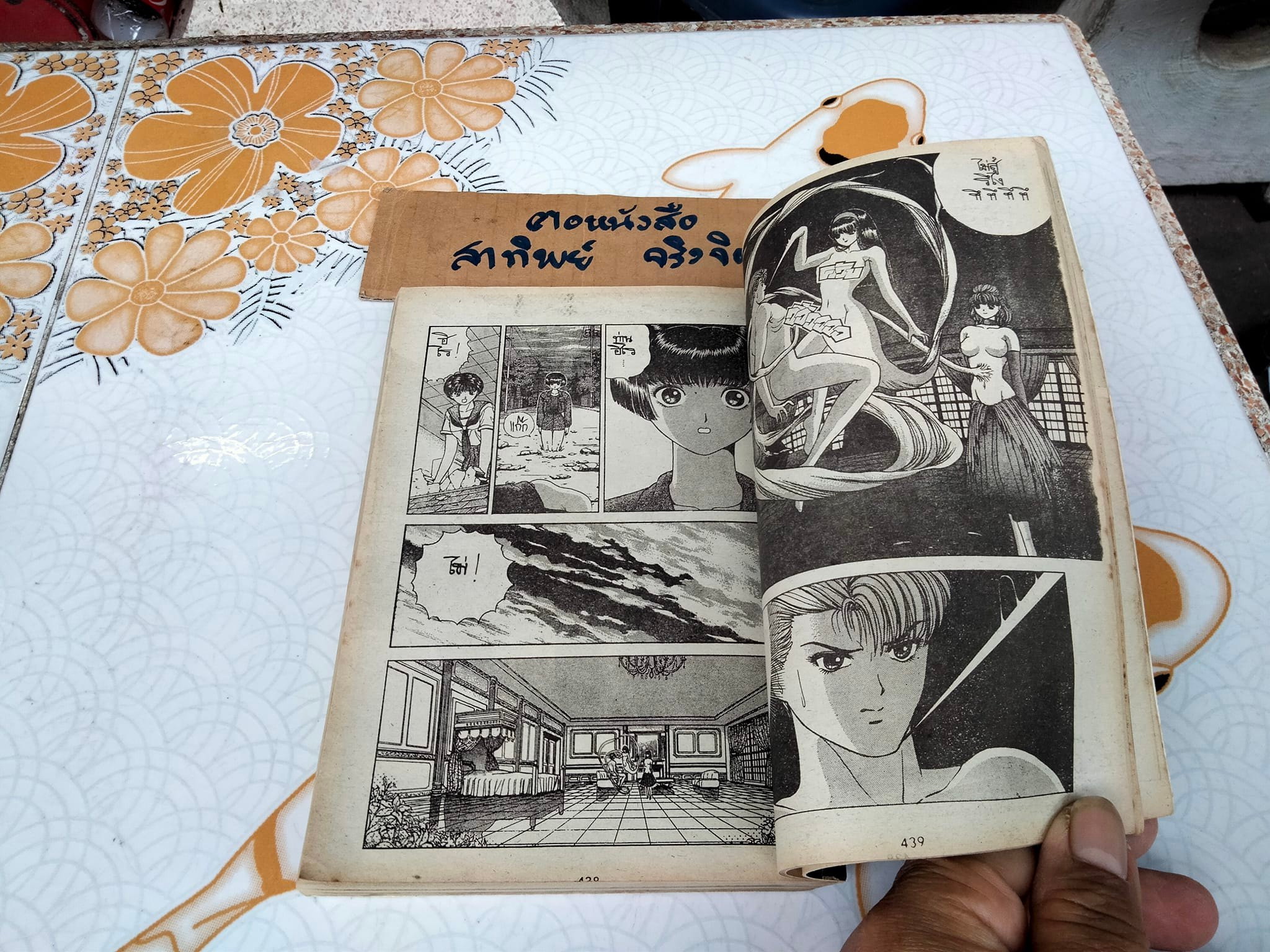 2 พยัคฆ์ล่ามาร (เล่มเดียวจบ) โนโมมูระ ฮิเดคิ - สนพ.หมึกจีน