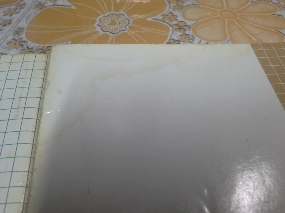 การ์ตูน ICHIGO 100 % - 19 เล่มจบ (สนพ.ANT)