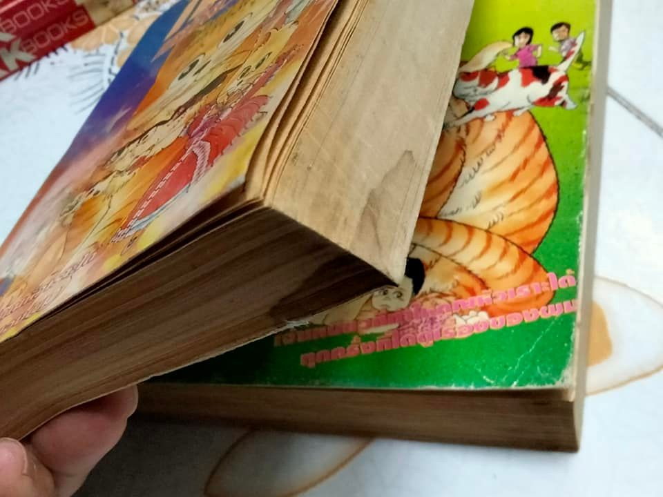 ไมเคิ้ลเหมียว (2 เล่มจบ) **สินค้าหมด**