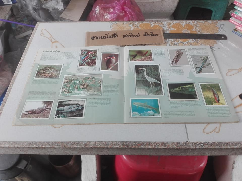 สมุดสะสมสติกเกอร์ ชีวิตสัตว์โลก (แปะครบ 240 รูป) ** สินค้าหมด**