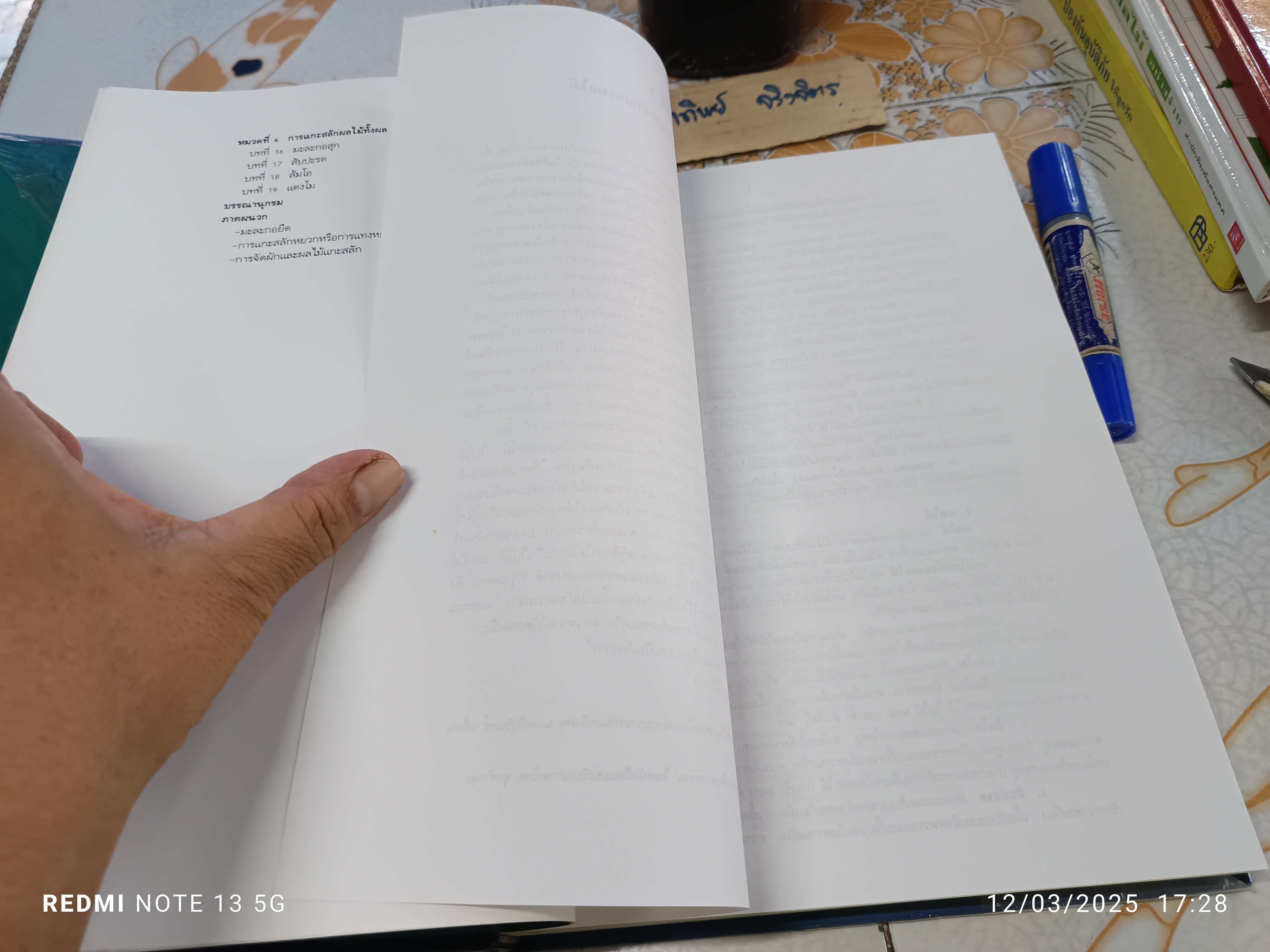 การแกะสลักผักและผลไม้ เล่ม 1 โดย อ.แสงอรุณ เชื้อวงษ์บุญ พิมพ์ กุมภาพันธ์ 2541 (2,000 เล่ม) ** หน้าหาย 2 คู่ (สารบัญ + ความรู้พื้นฐาน) **สินค้าหมด**