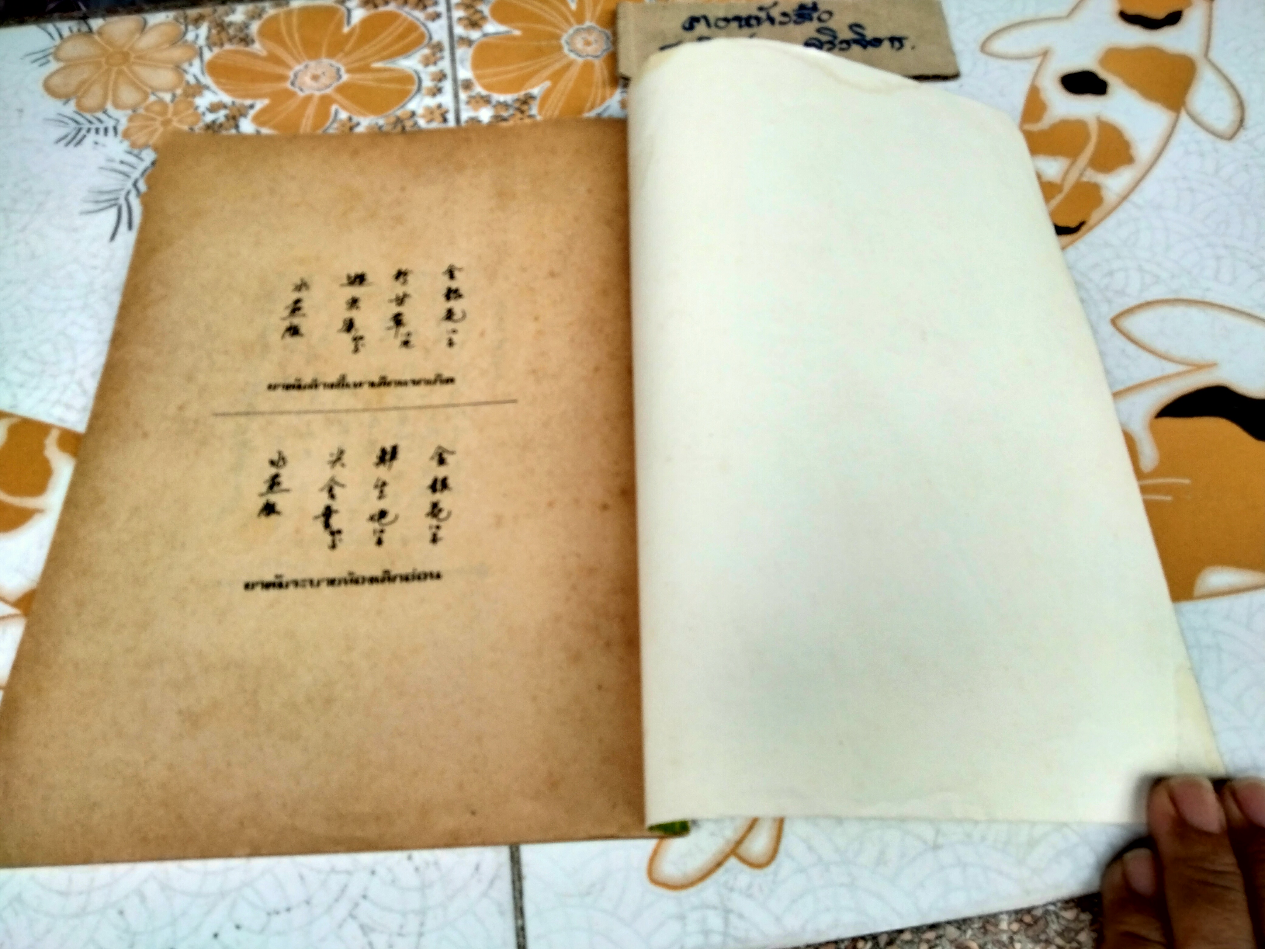 ตำรายาสมุนไพร หลวงพ่อศุข วัดมะขามเฒ่า (เพิ่มตำรายาจีนแผนโบราณ)