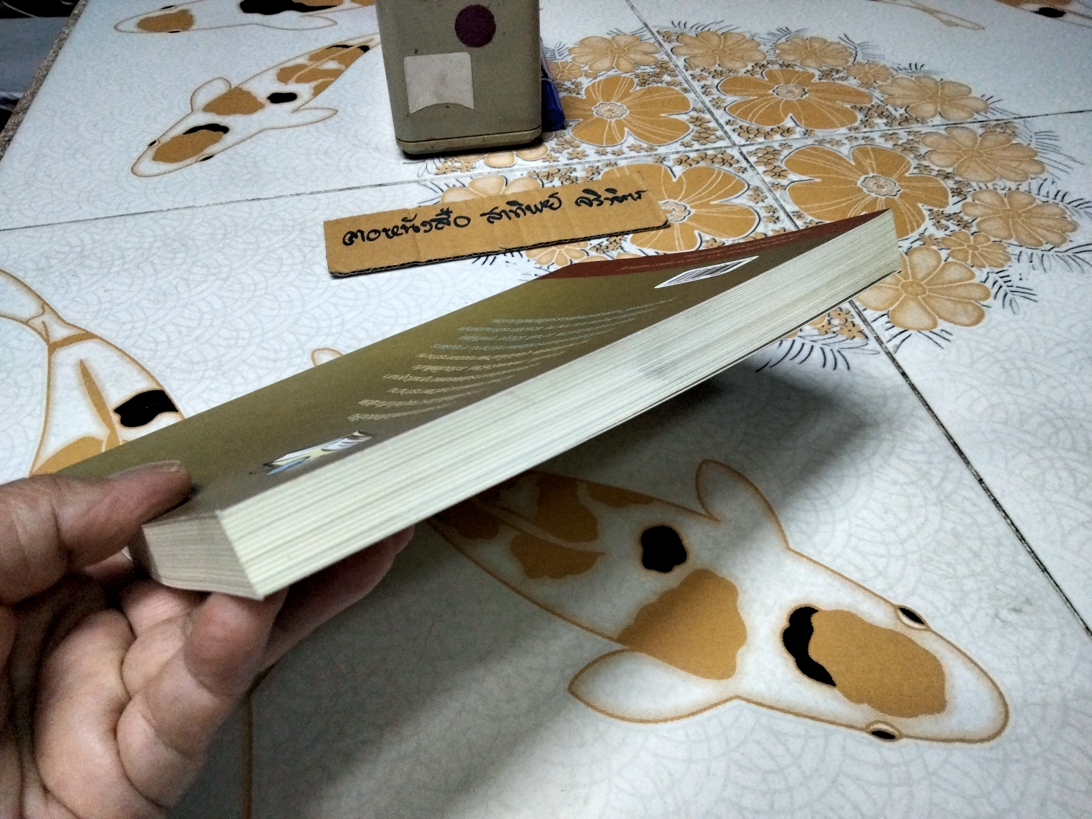 หนังสือ 30 ปี พัชรา หวังว่องวิทย์ - ชีวิตอัศจรรย์ **สินค้าหมด**