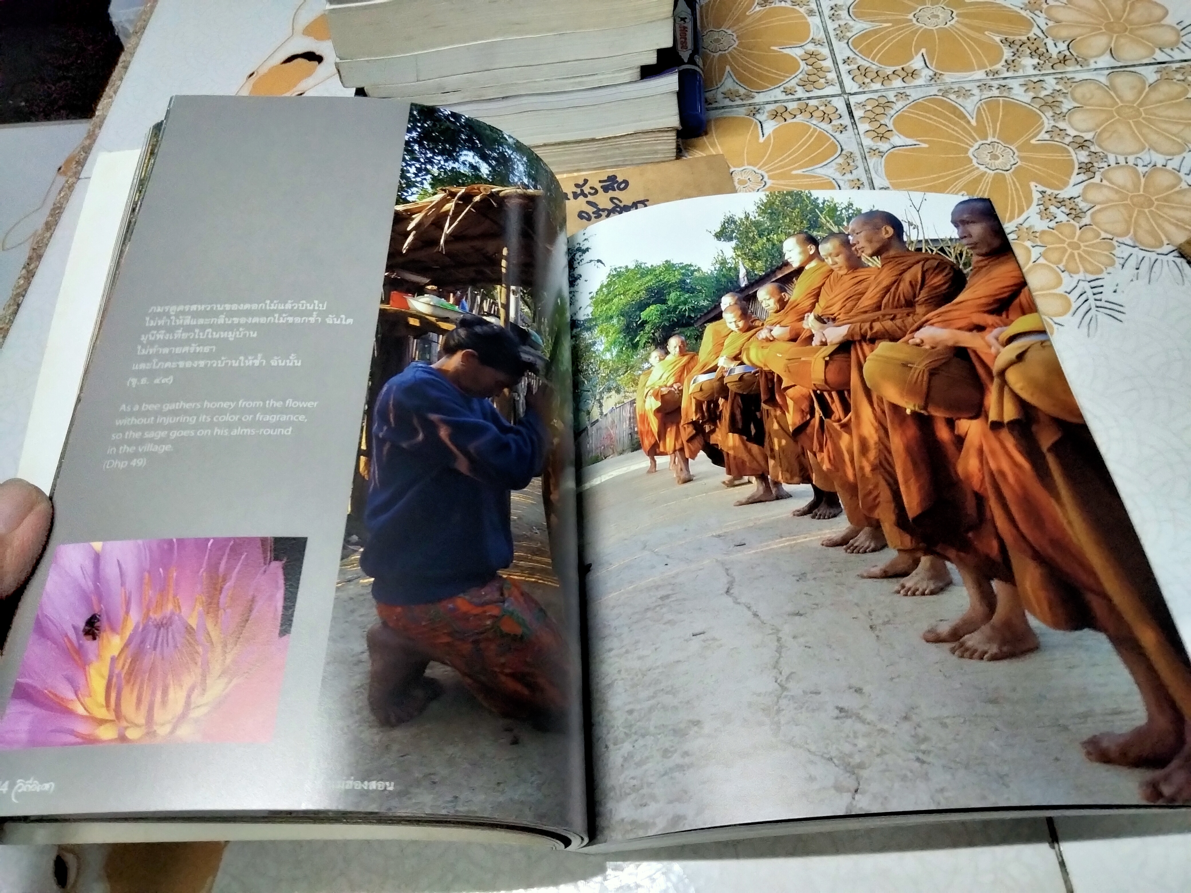 วิถีวิเวก เรียงร้อยภาพศิลป์ จากถิ่นสงบ Dhammafarers , A photographic Journey of the Dhammafarers พร้อมประวัติ พระอาจารย์ชาคิโน**สินค้าหมด**