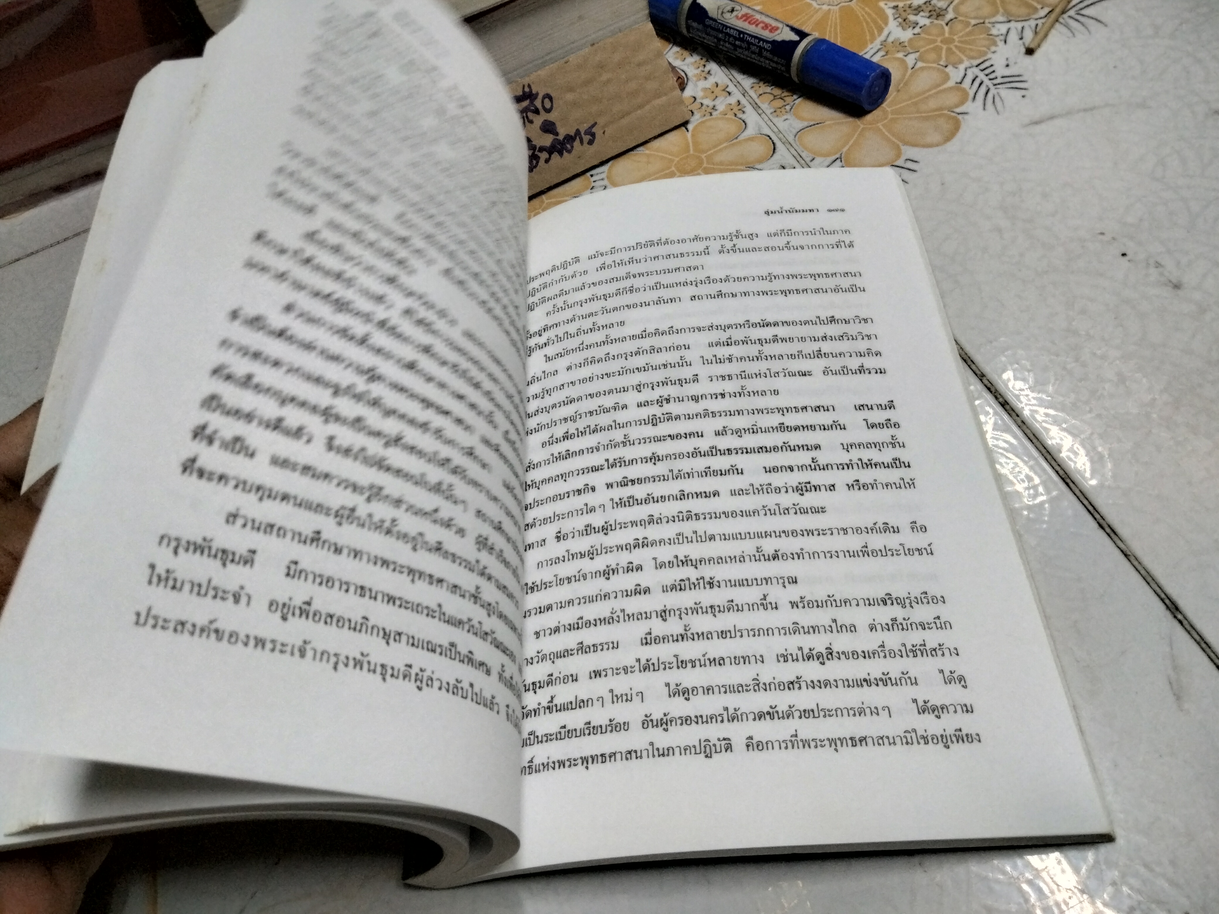 ลุ่มน้ำนัมมทา เขียนโดย สุชีพ ปุญญานุภาพ จินตนิยายอิงหลักธรรมทางพระพุทธศาสนา **สินค้าหมด**