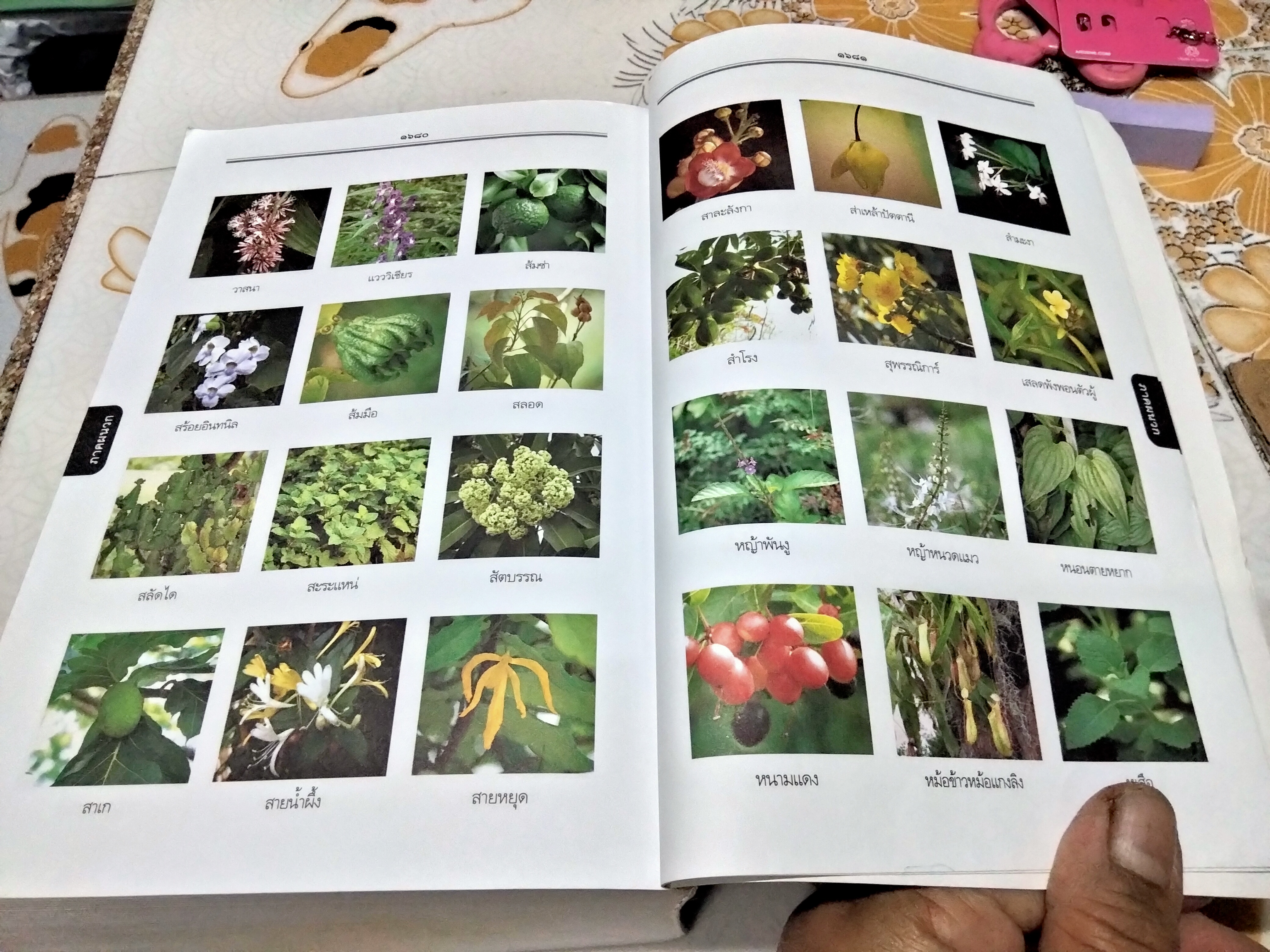 พจนานุกรมไทย ฉบับทันสมัยและสมบูรณ์ โดย ฝ่ายวิชาการภาษาไทย บริษัท ซีเอ็ดยูเคชั่น จำกัด