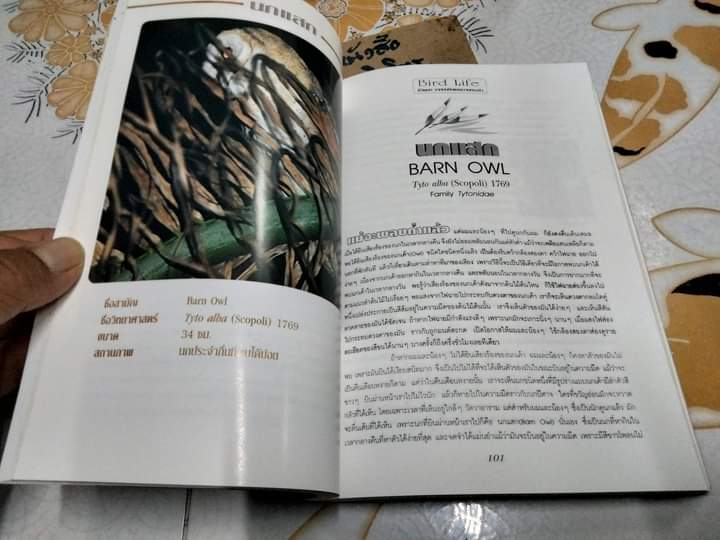 ชีวิตนก Bird Life จากบันทึก เเละความทรงจำ เล่ม 3 โดย สุธี ศุภรัฐวิกร พิมพ์ปี พ.ศ.2540