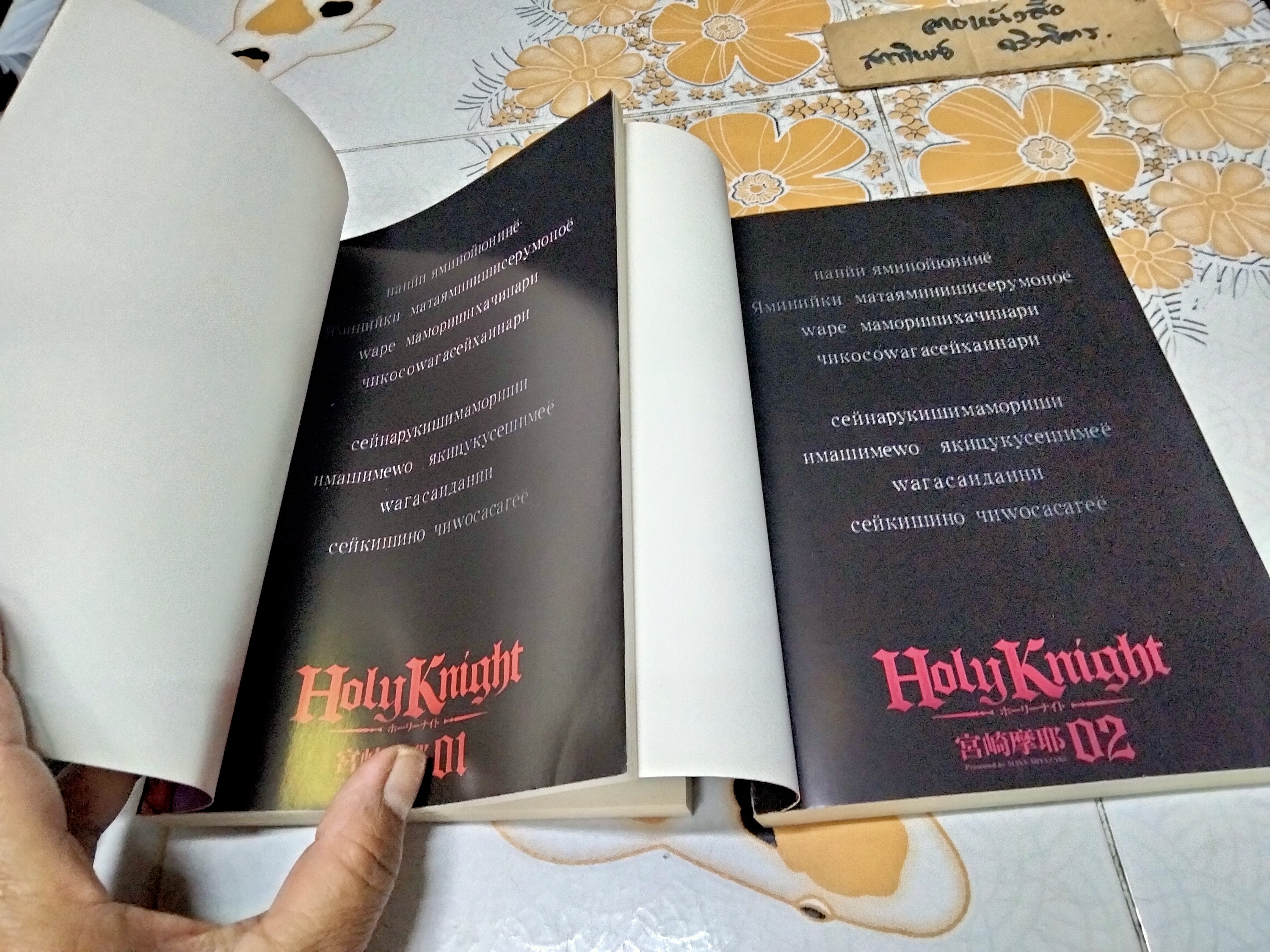 โฮลี่ ไน้ท์ Holy Knight (มีแค่เล่ม 1,2) การ์ตูน 18+