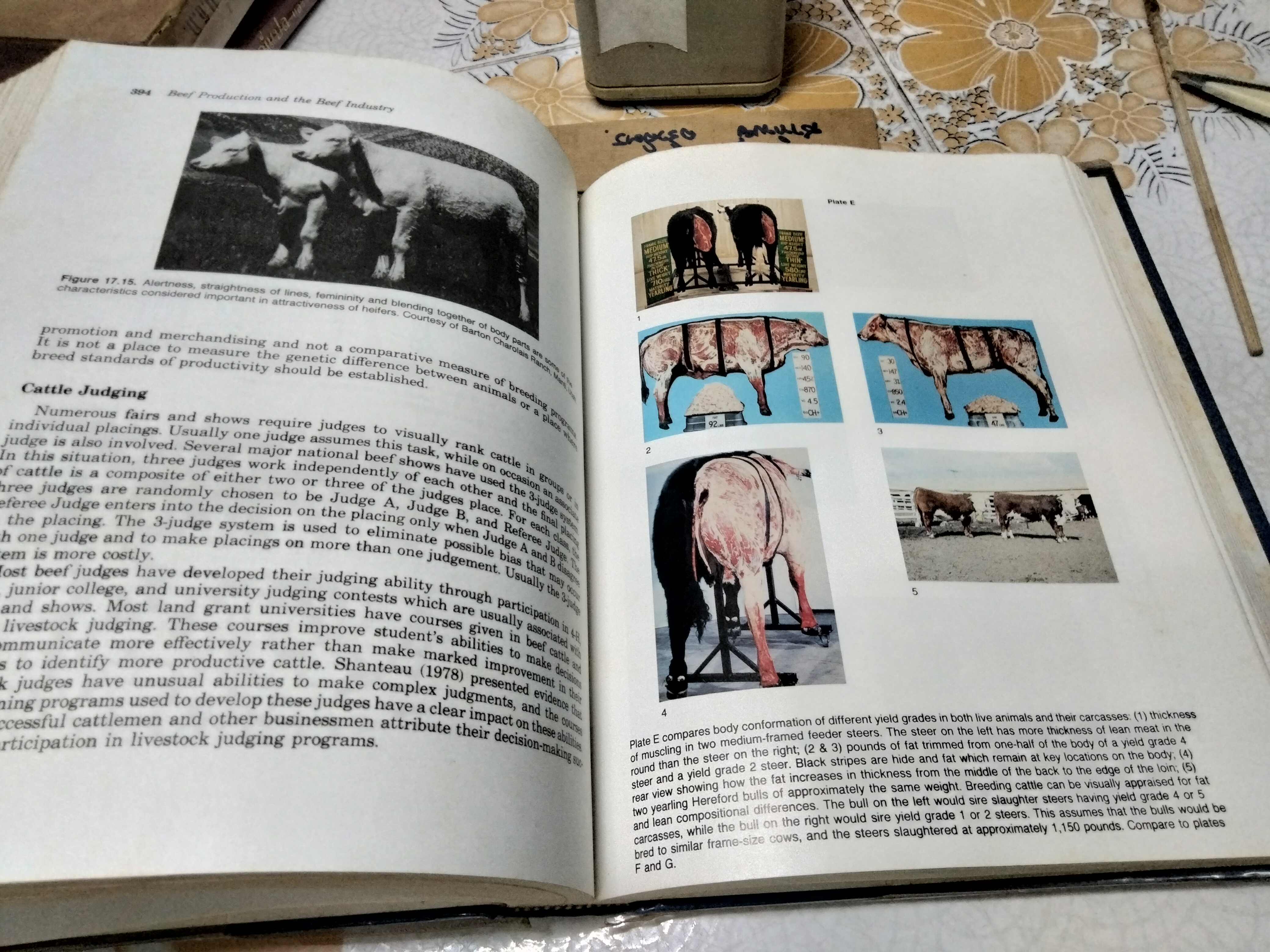 Beef Production and the Beef Industry A Beef Producer's Perspective. Robert E. Taylor