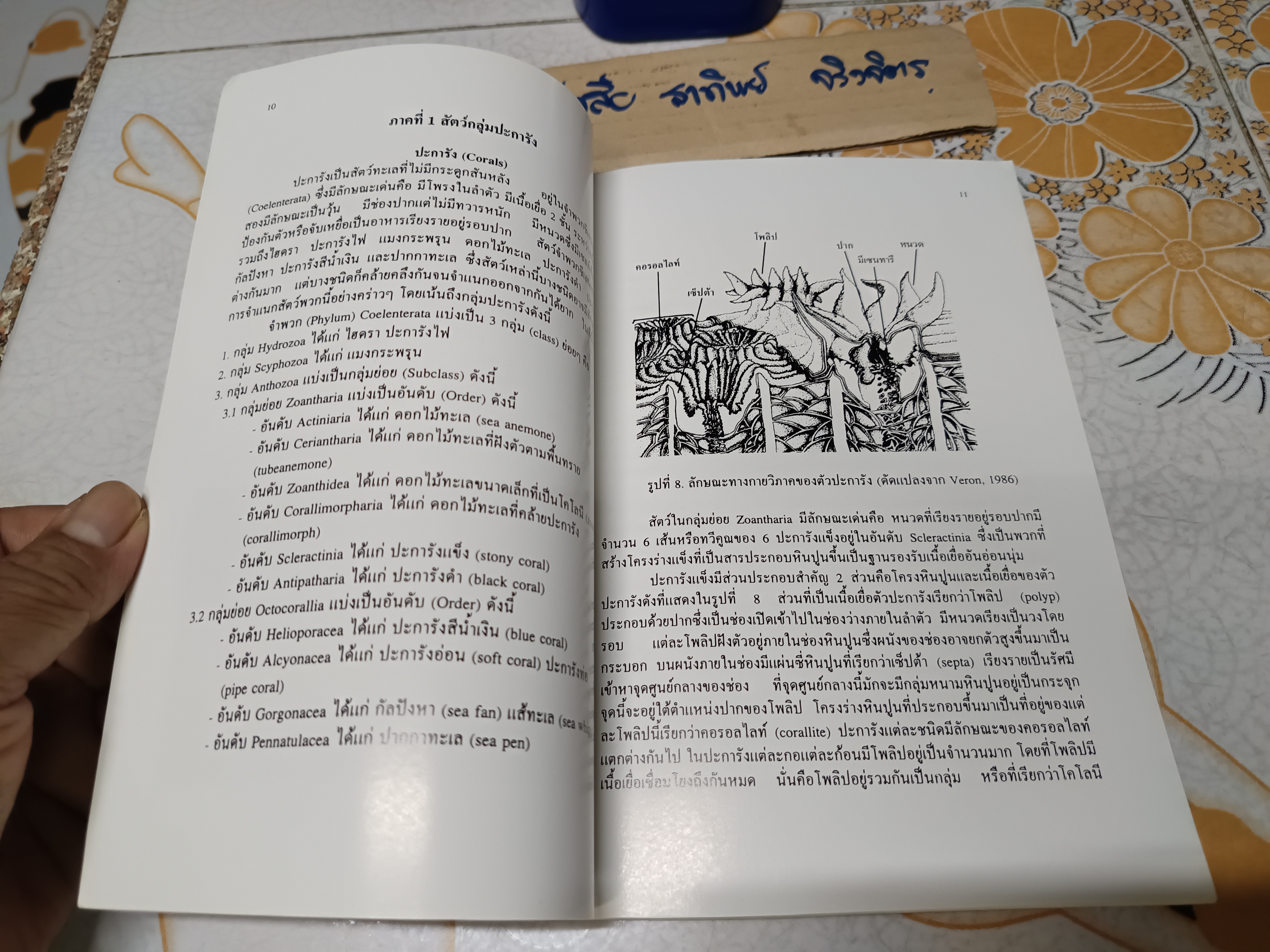 โครงการอุทยานใต้ทะเล จุฬาภรณ์ 36 คู่มือสัตว์และพืชในแนวปะการังหมู่เกาะสุรินทร์และสิมิลัน