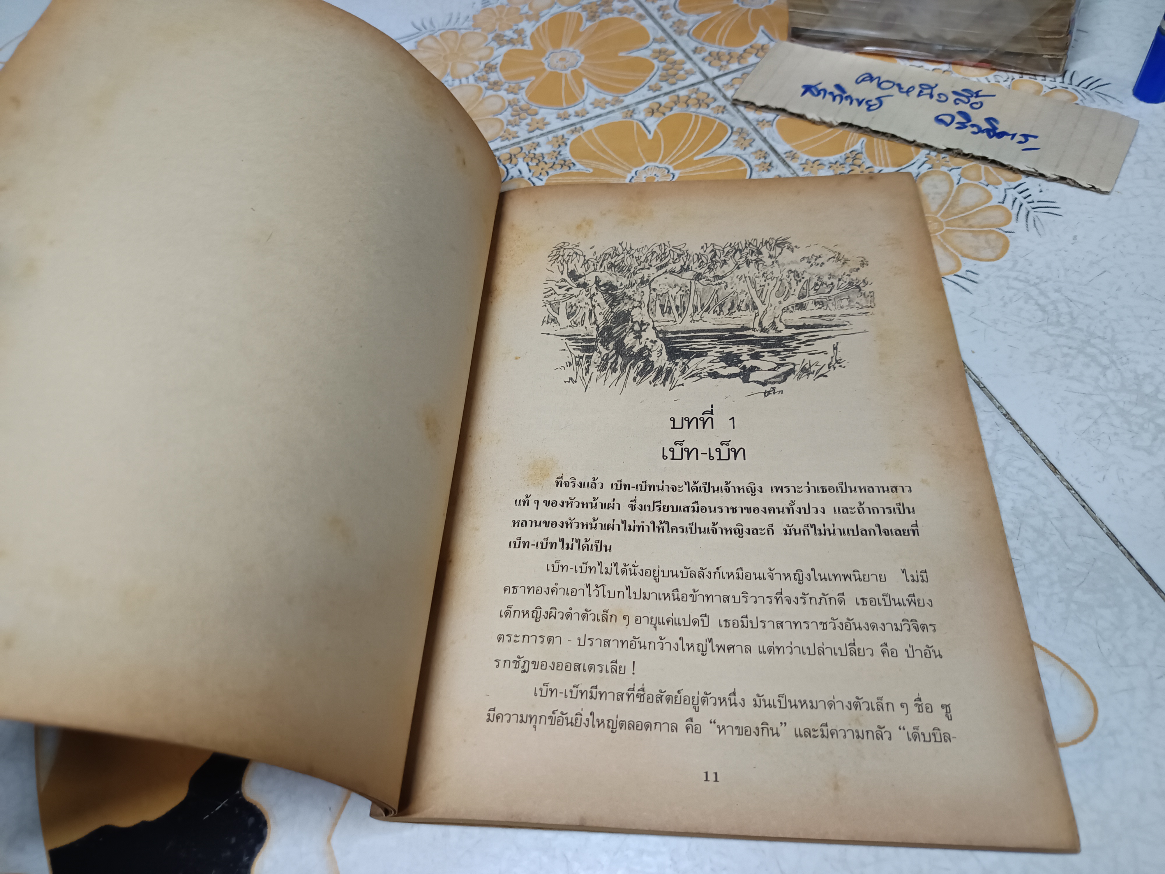 เจ้าหญิงดำน้อย THE LITTLE BLACK PRINCESS ของ Mrs. Aeneas Gunn "ศุภลักษณ์" แปลและเรียบเรียง "ต่วย" บรรณาธิการ