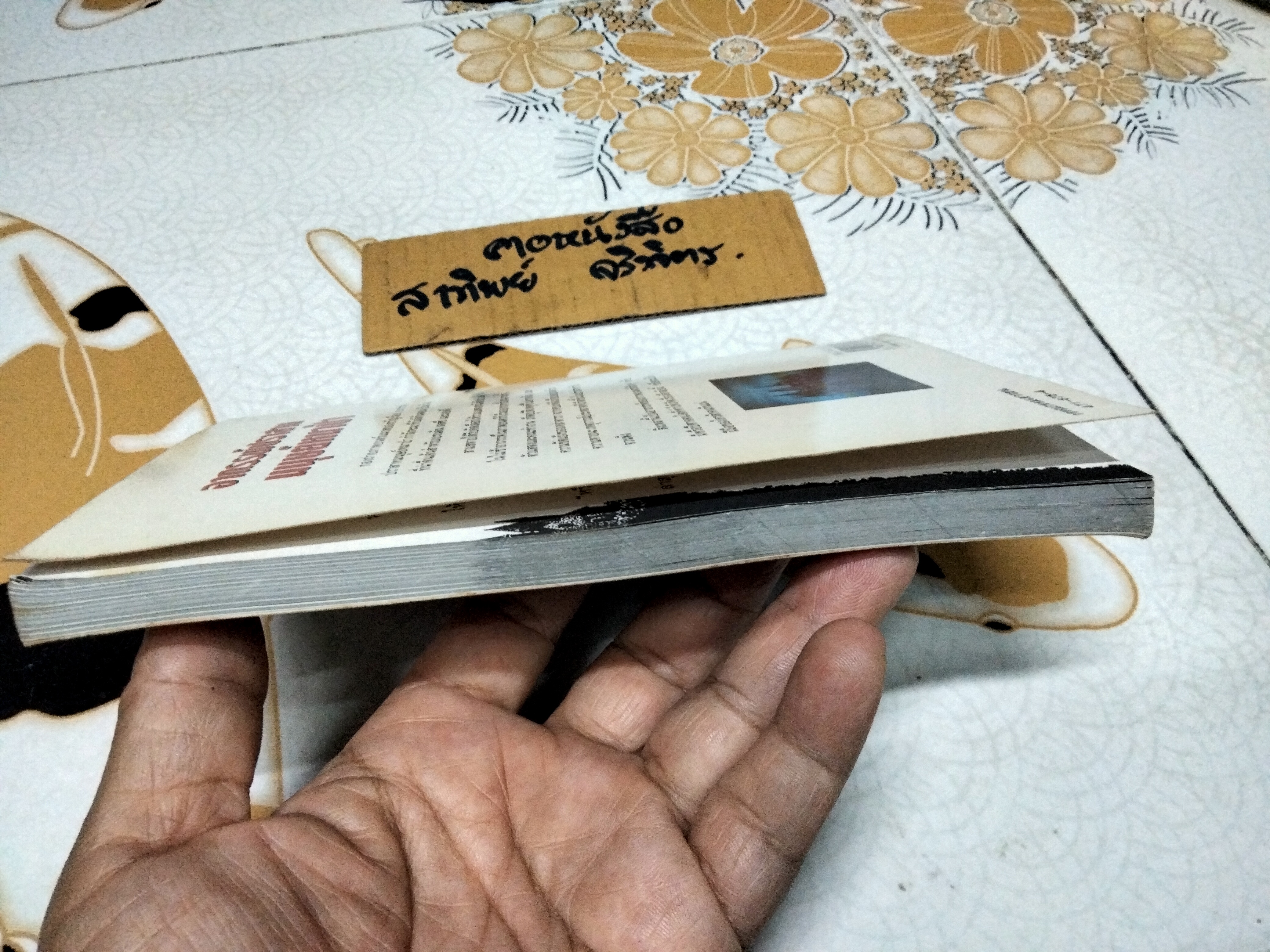 อาถรรพ์ปราสาทมนุษย์หมาป่า (The Curse of Werewolf Castle) Gordon Snell เขียน - วลีพร หวังซื่อกุล แปล