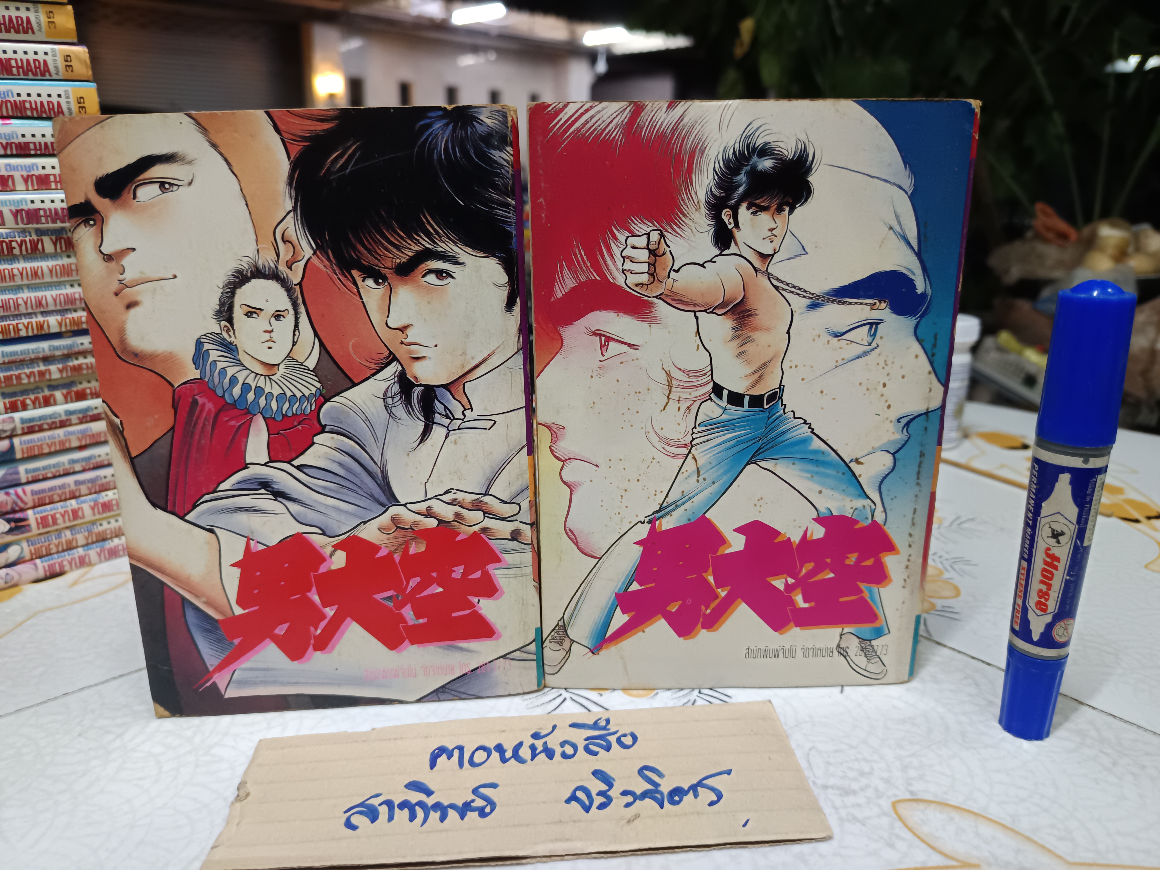 เลือดนักสู้ ( 2 เล่มจบ) อิเคงามิ เรียวอิจิ