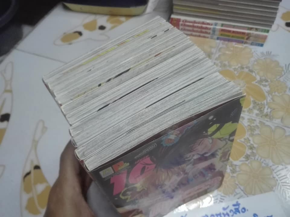 มิโดริจัง กับ เจ้าชายทั้งสิบเอ็ด ( 10 เล่มจบ )