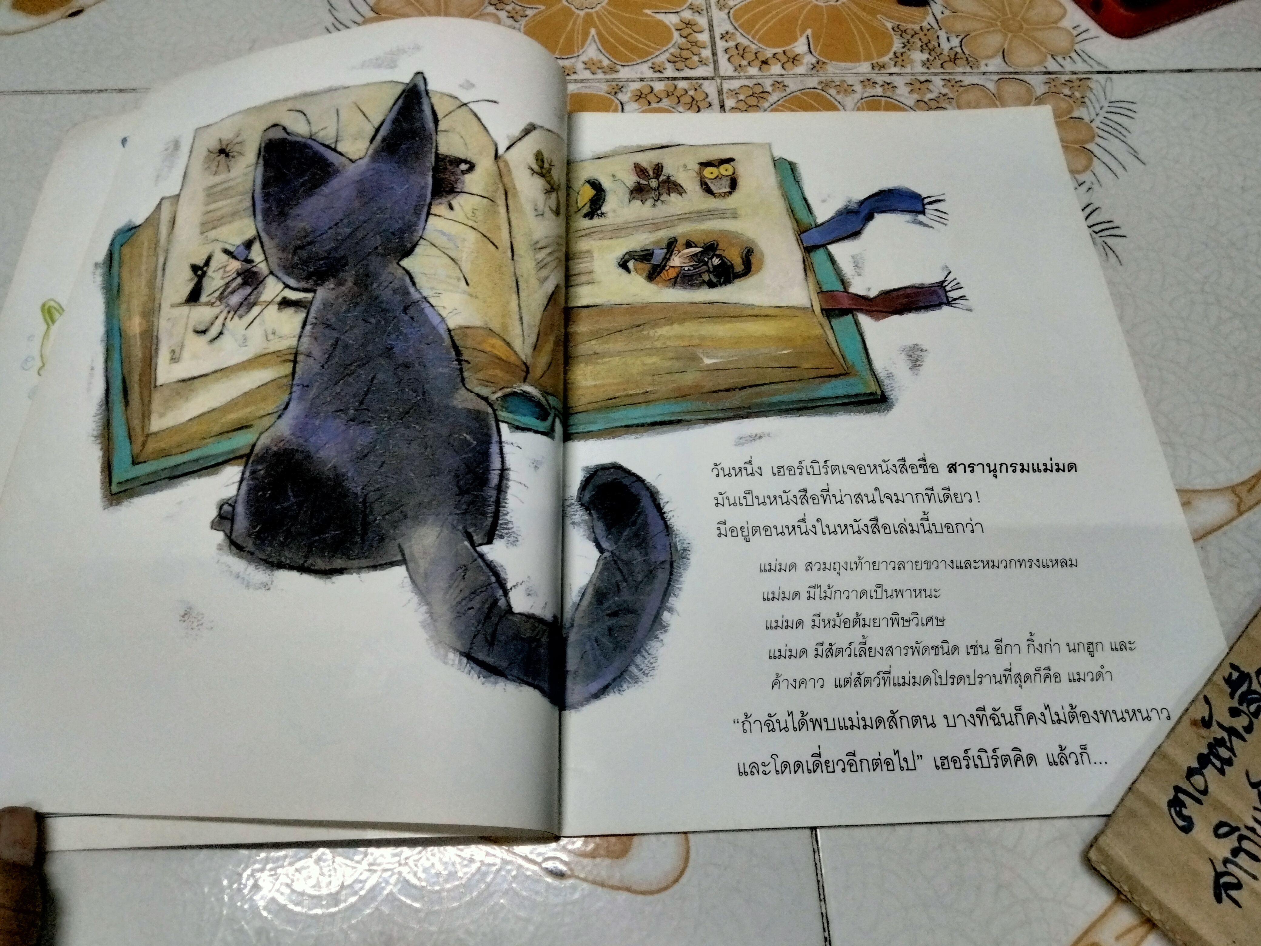 ขอโทษฮะ...คุณเป็นแม่มดรึเปล่า? เอมิลี ฮอร์น เขียน พอฟเอล พอฟลอค ภาพ น้านกฮูก แปล **สินค้าหมด**