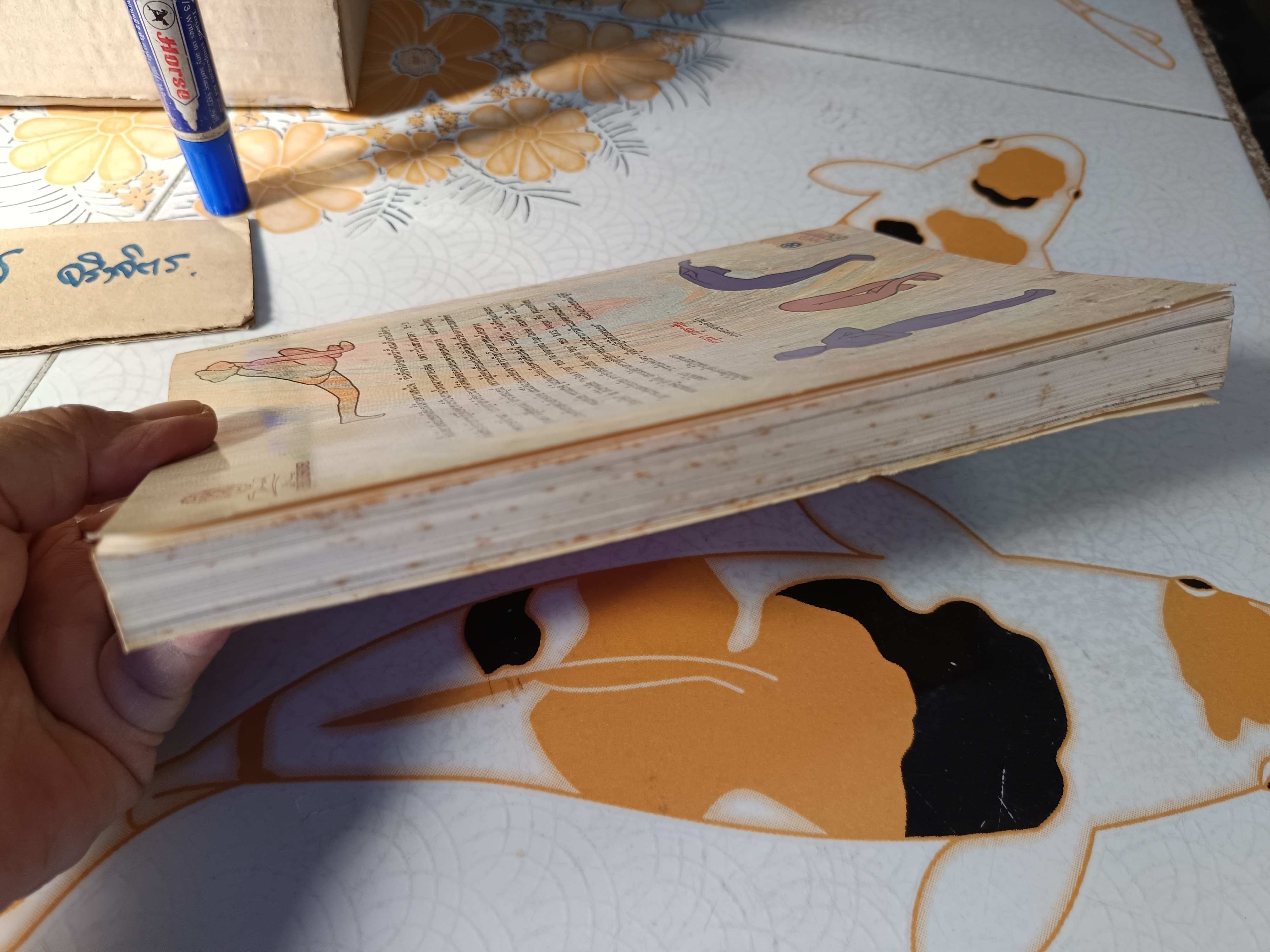 ประทีปแห่งโยคะ : คู่มือการปฏิบัติด้วยตนเอง เอกไชย พรรณเชษฐ์ แปลและเรียบเรียง พิมพ์ 3/2536 สำนักพิมพ์มูลนิธิโกมลคีมทอง