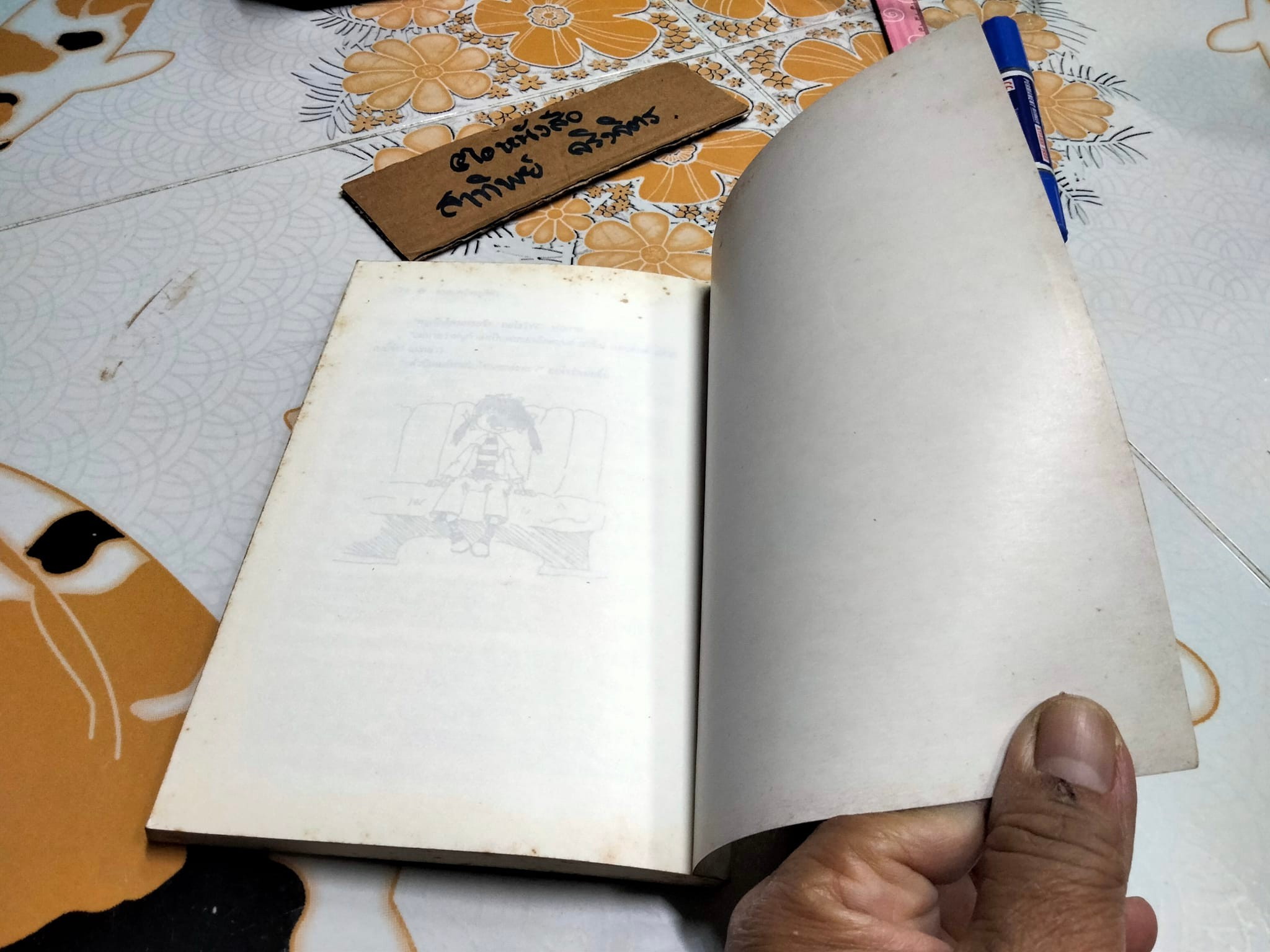 ครอบครัวรถสีฟ้า Aurora and the Little Blue Car - Anne . Cath. Vestly เขียน - อ้อยควั่น แปล **สินค้าหมด**