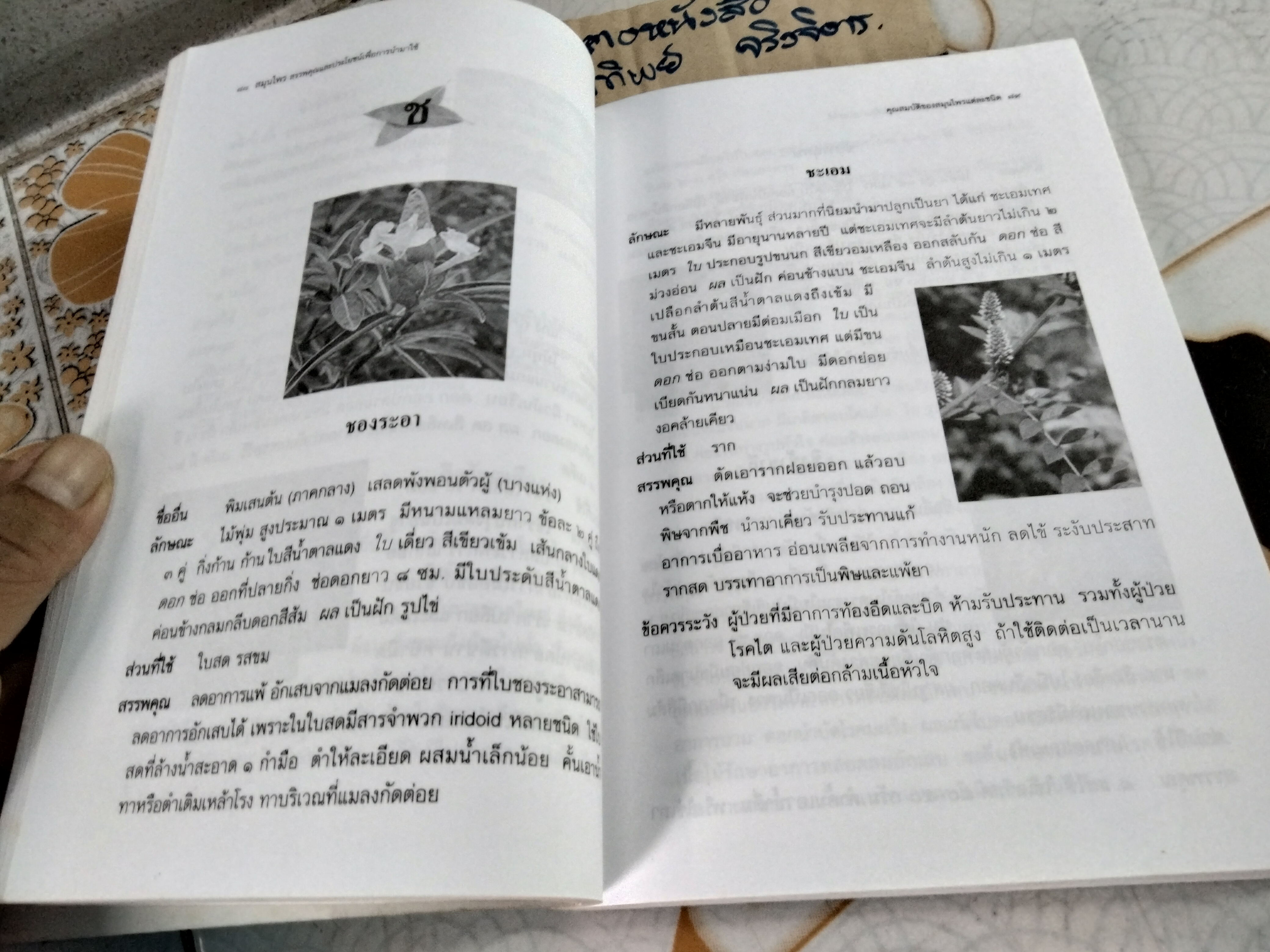 สมุนไพร สรรพคุณและประโยชน์เพื่อการนำไปใช้ โดย พ.ญ.พิสุทธิพร ฉ่ำใจ **สินค้าหมด**