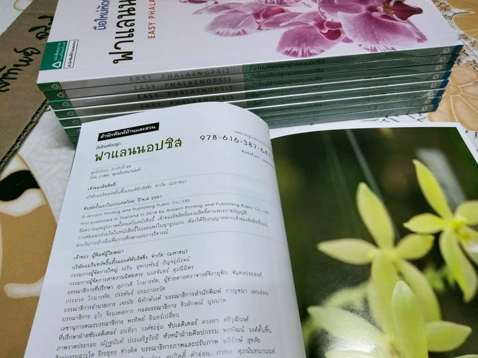 มือใหม่หัดปลูกฟาแลนนอปซิส (Easy Phalaenopsis) โดย ภวพล ศุภนันทนานนท์ , มือหนึ่ง ในซีล