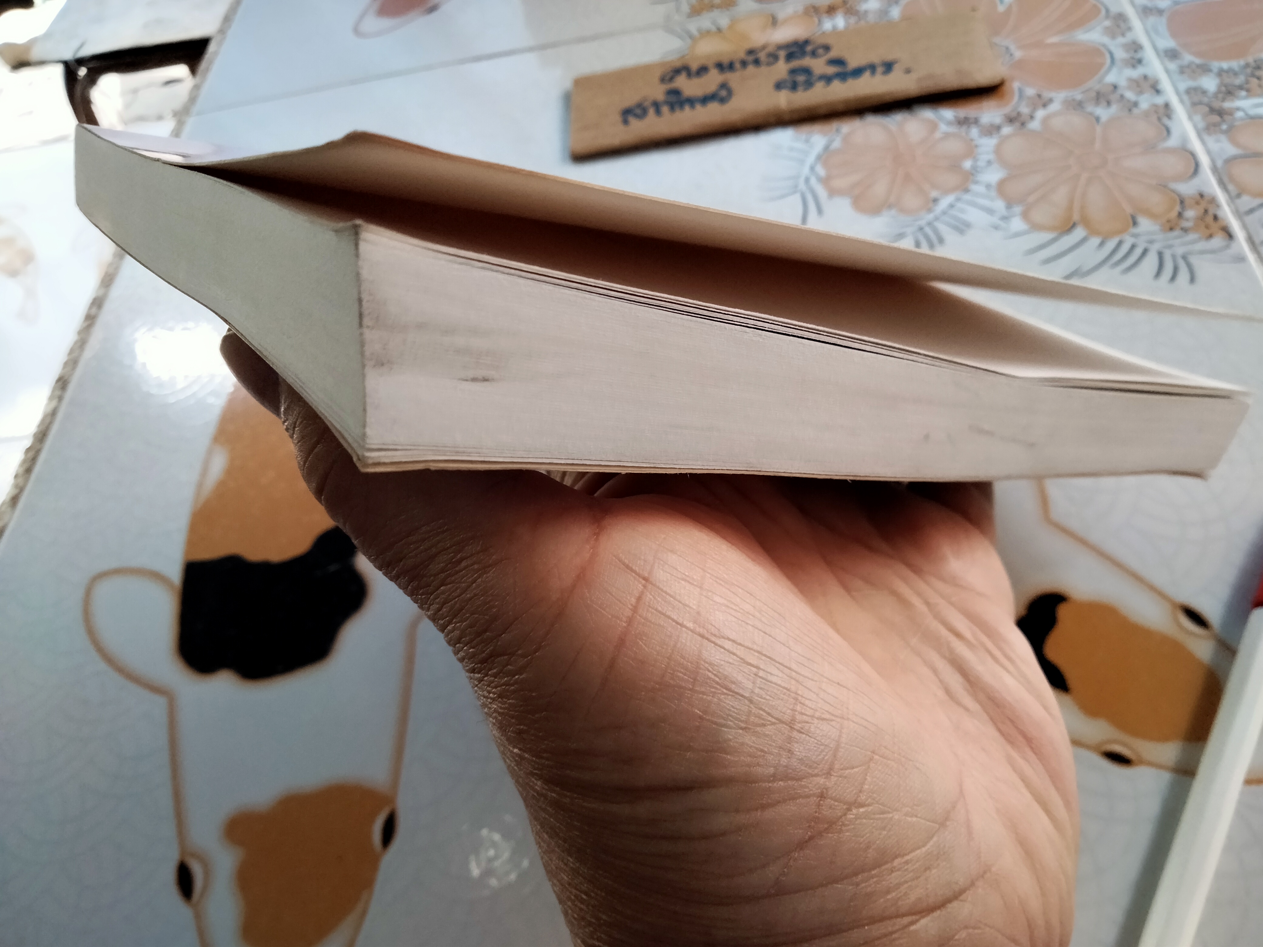 ทางเทวดา - แก้วเก้า (พิมพ์ครั้งแรก พ.ศ.2547) **สินค้าหมด**