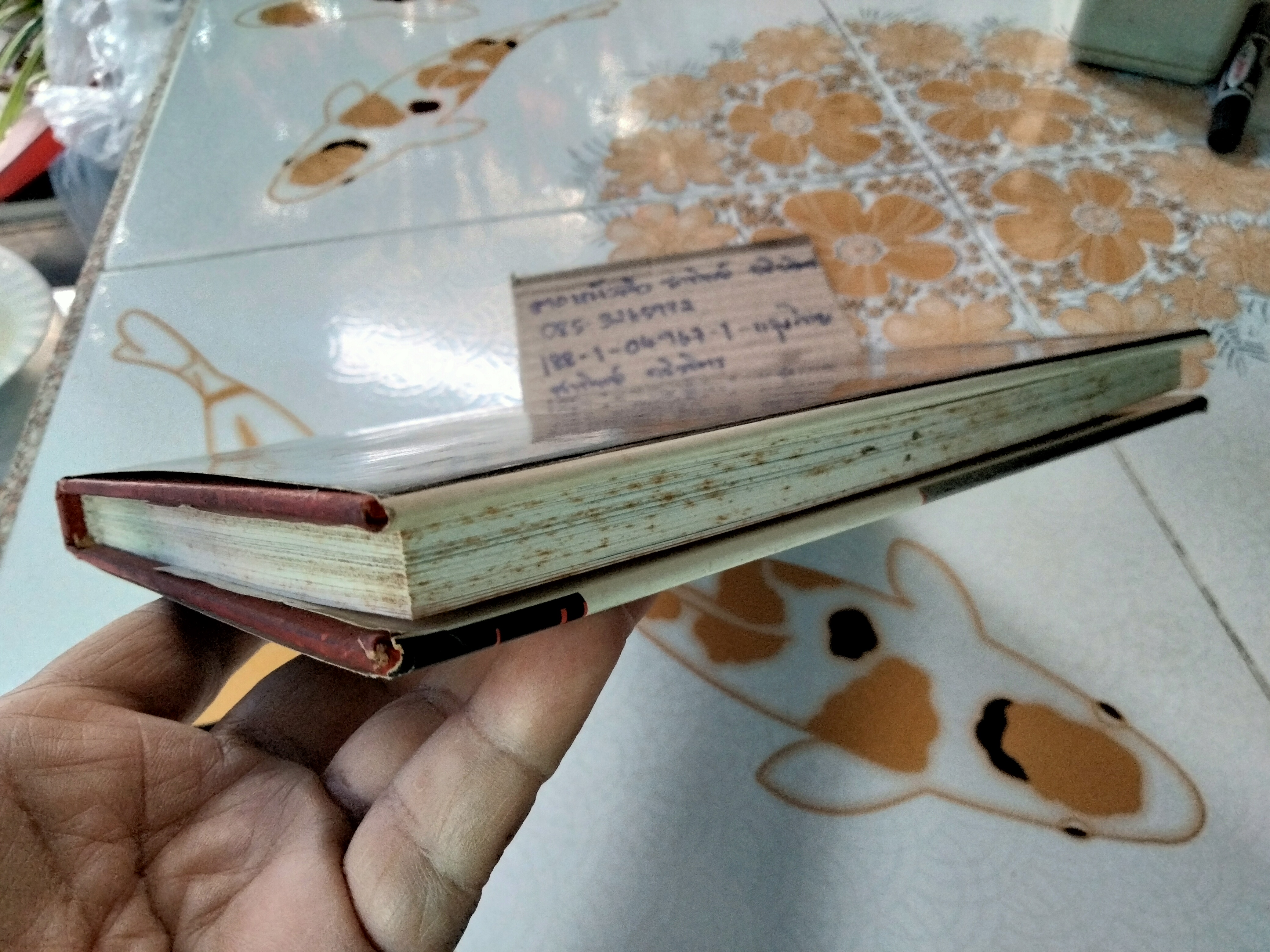 Predicting Nuclear and other Technological Disasters By CHRISTOPHER LAMPTON ,1989